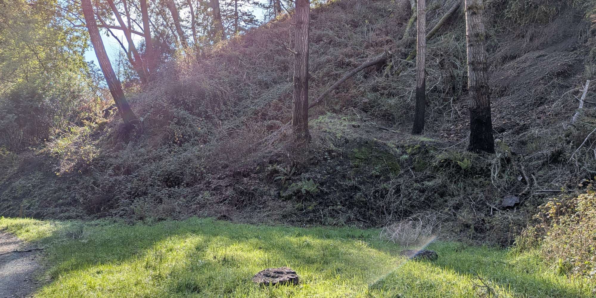 Second image to compare