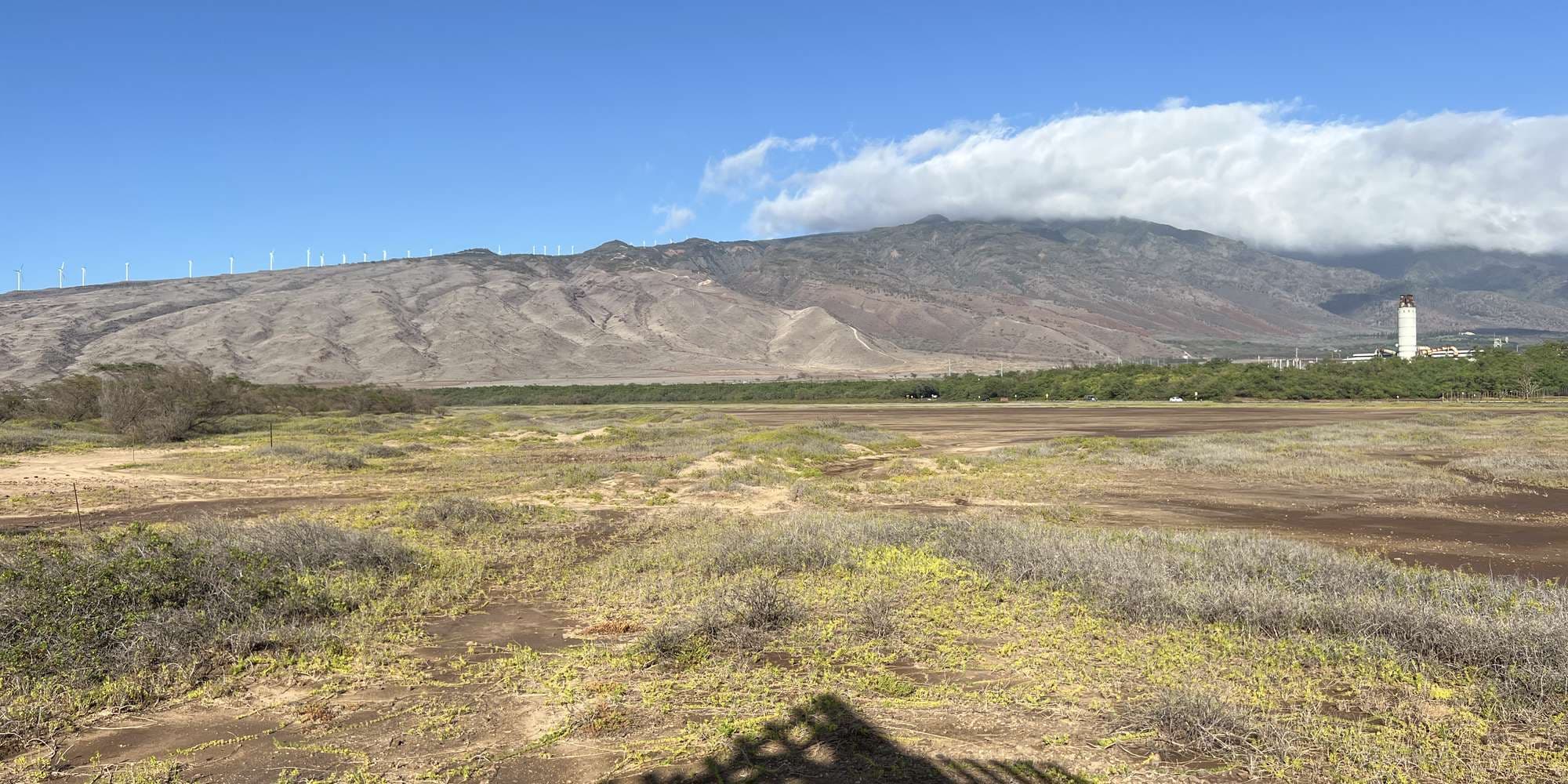 Second image to compare