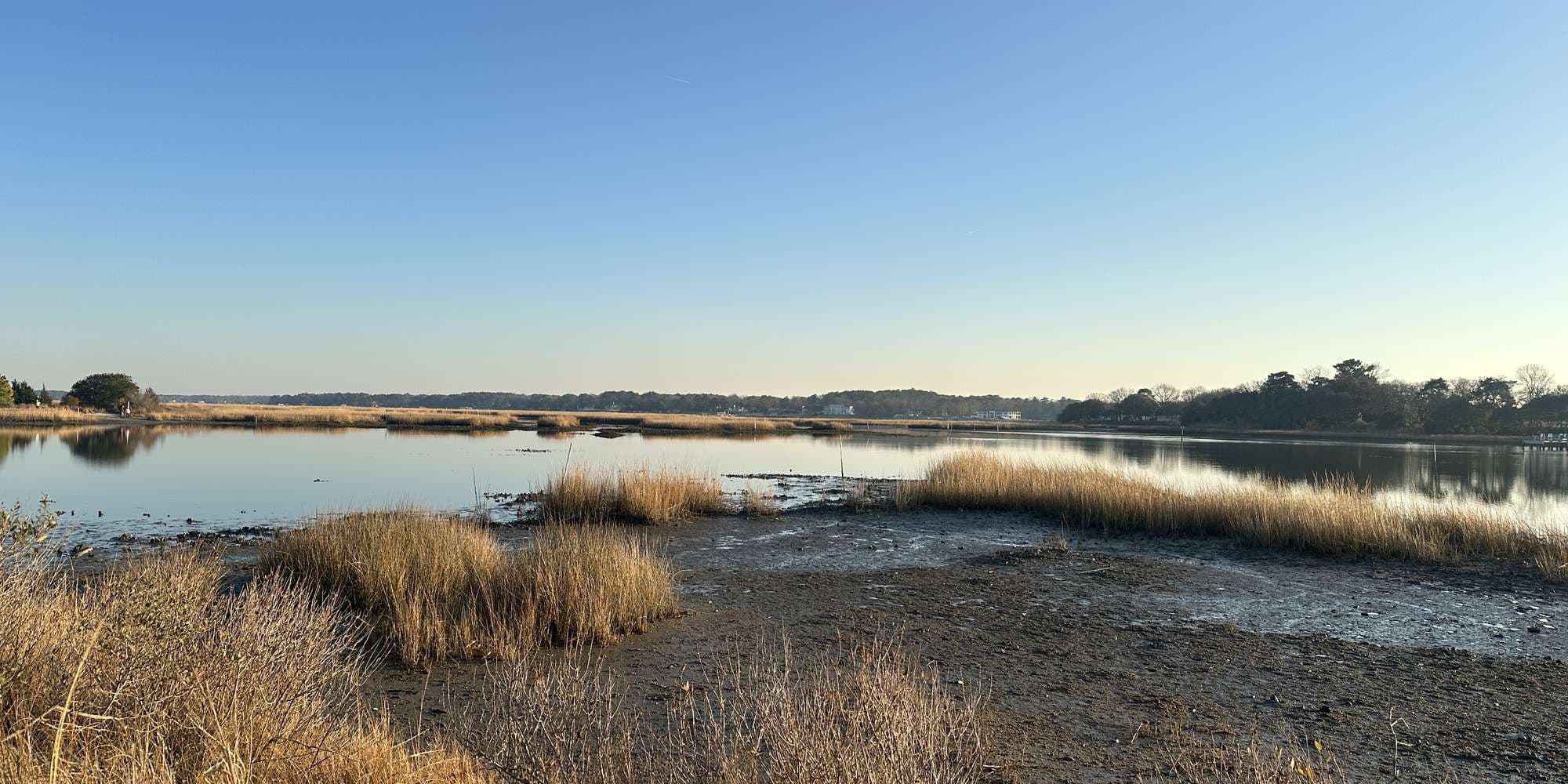 Second image to compare