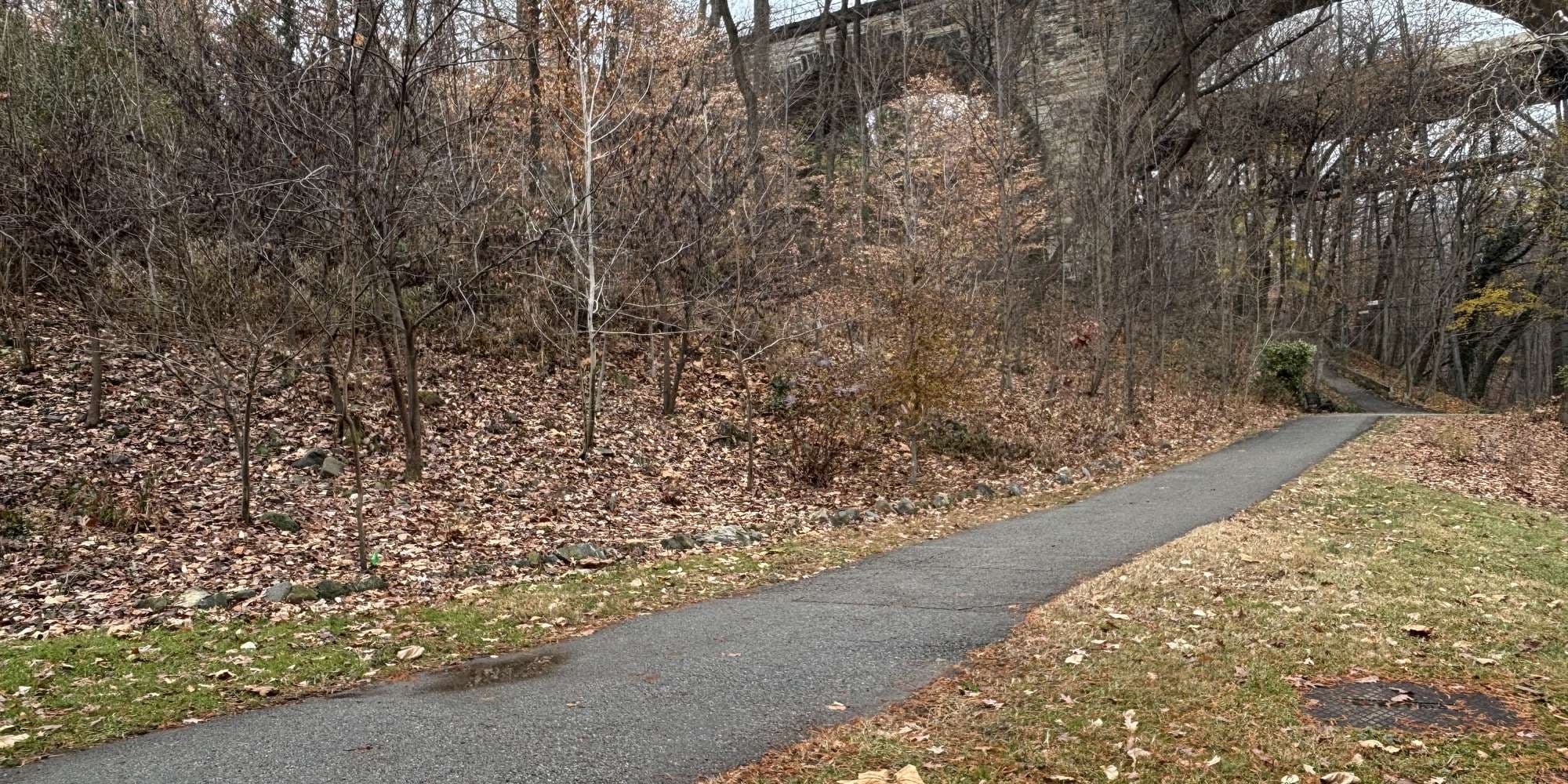 Second image to compare