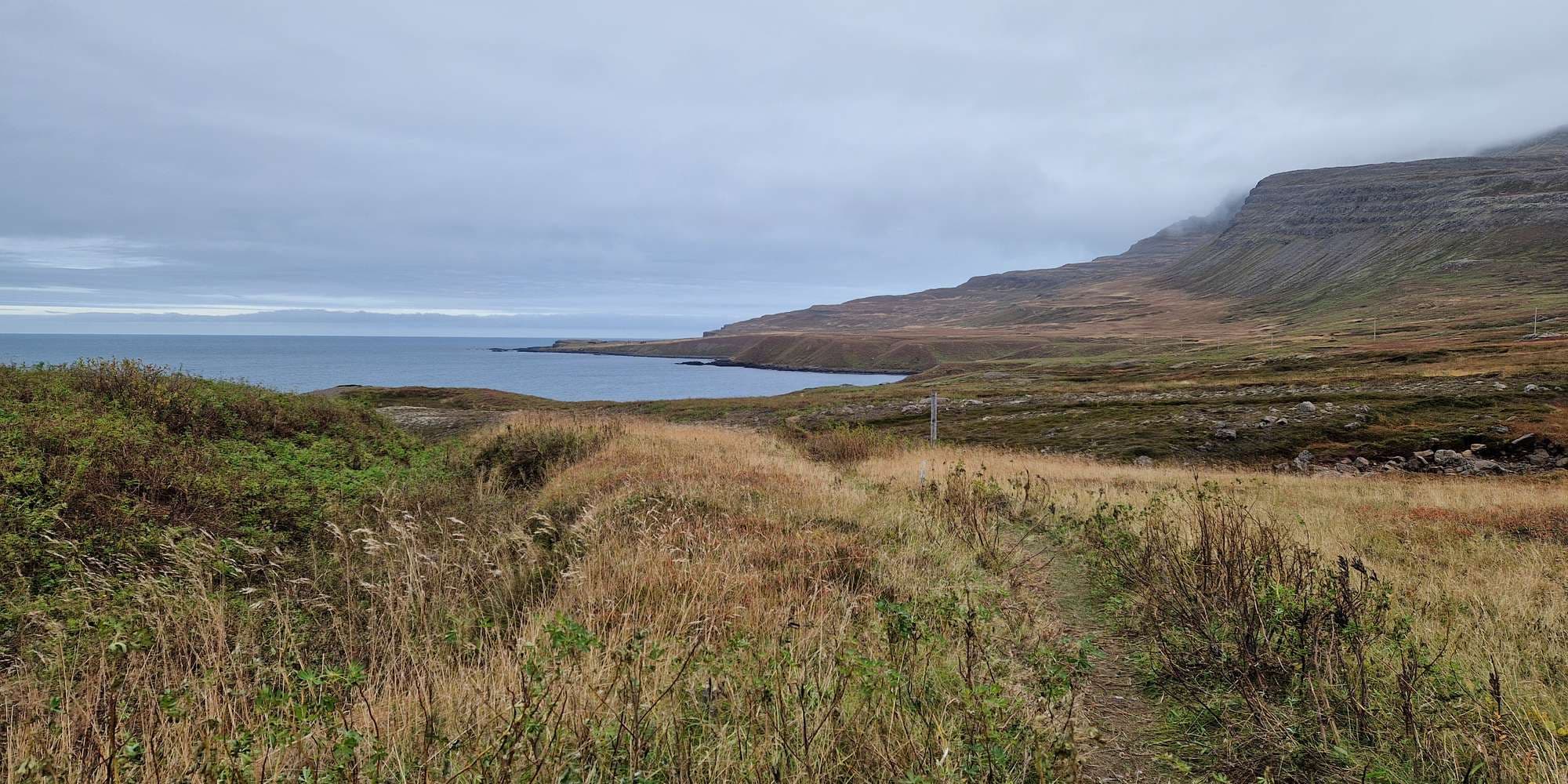 Second image to compare