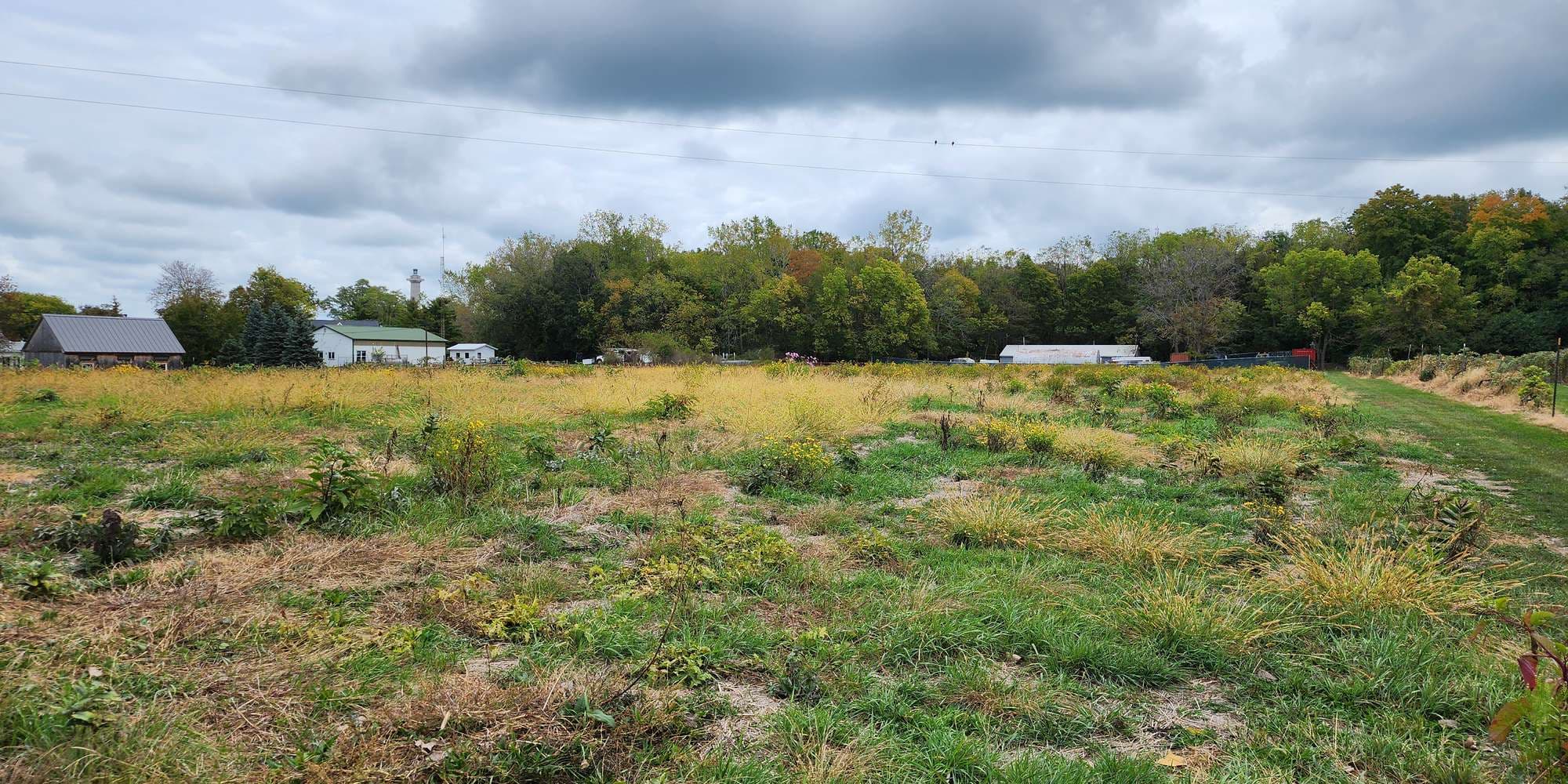 Second image to compare