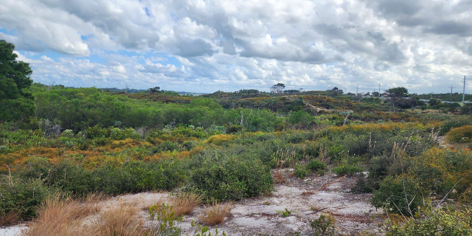 Second image to compare