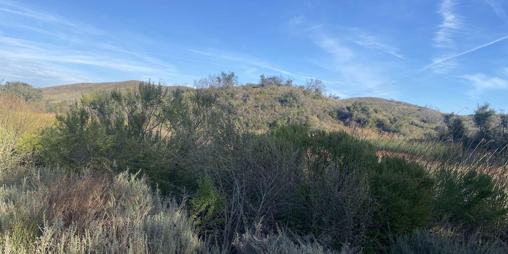 Second image to compare