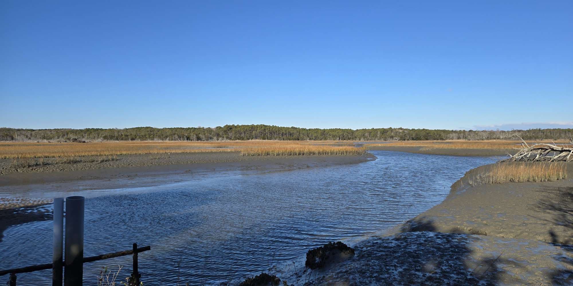 Second image to compare