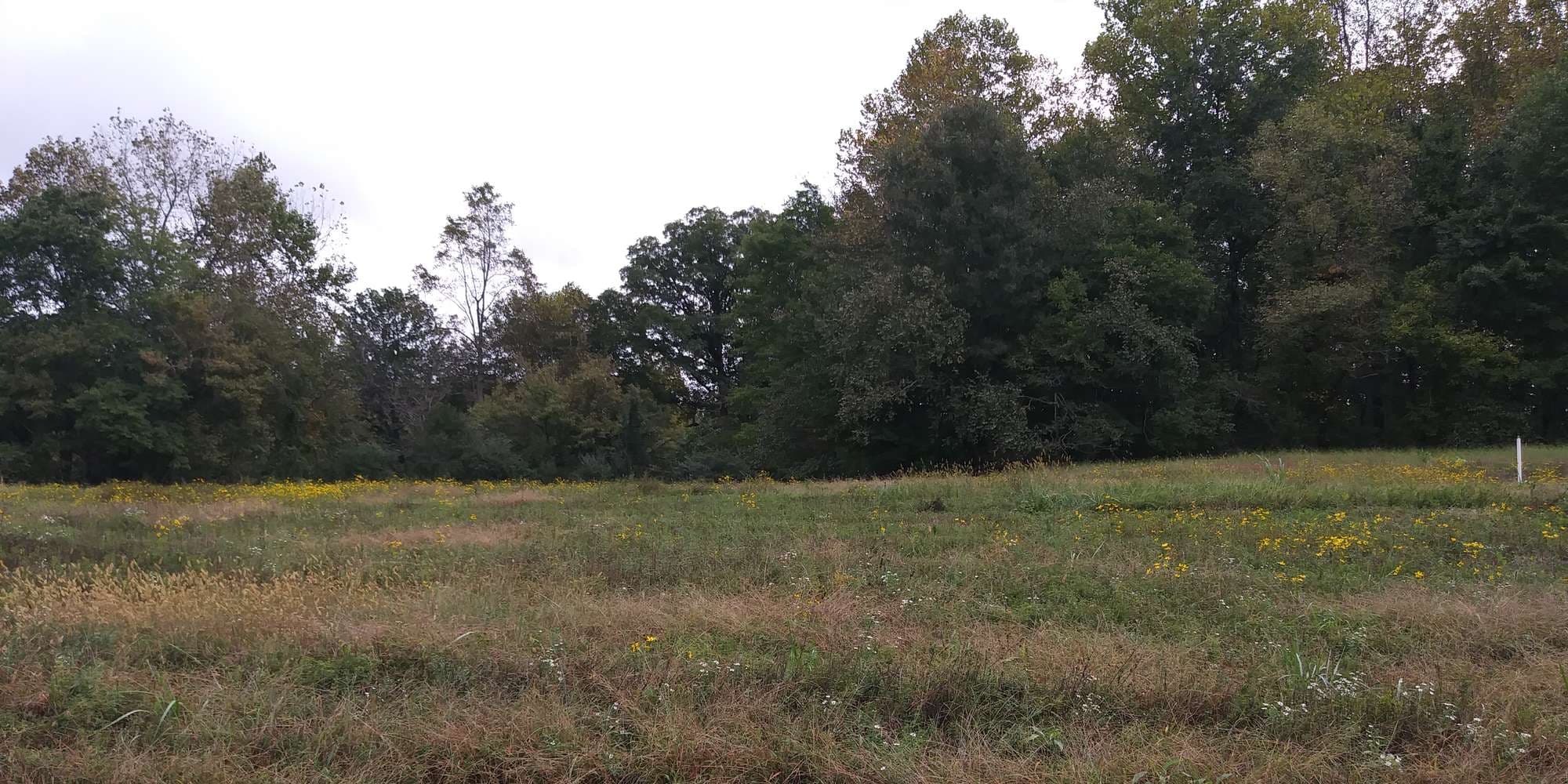 First image to compare