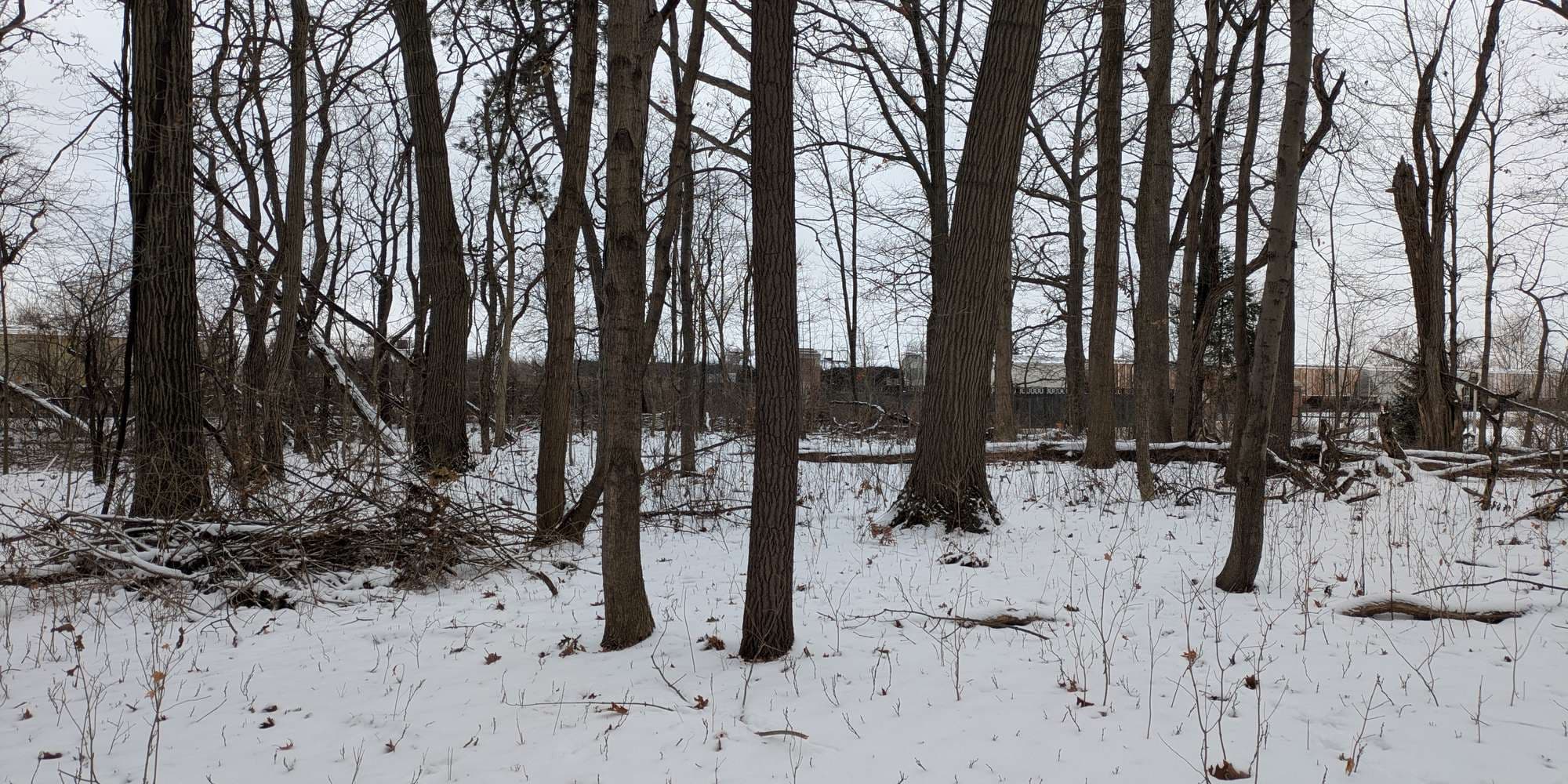 Second image to compare