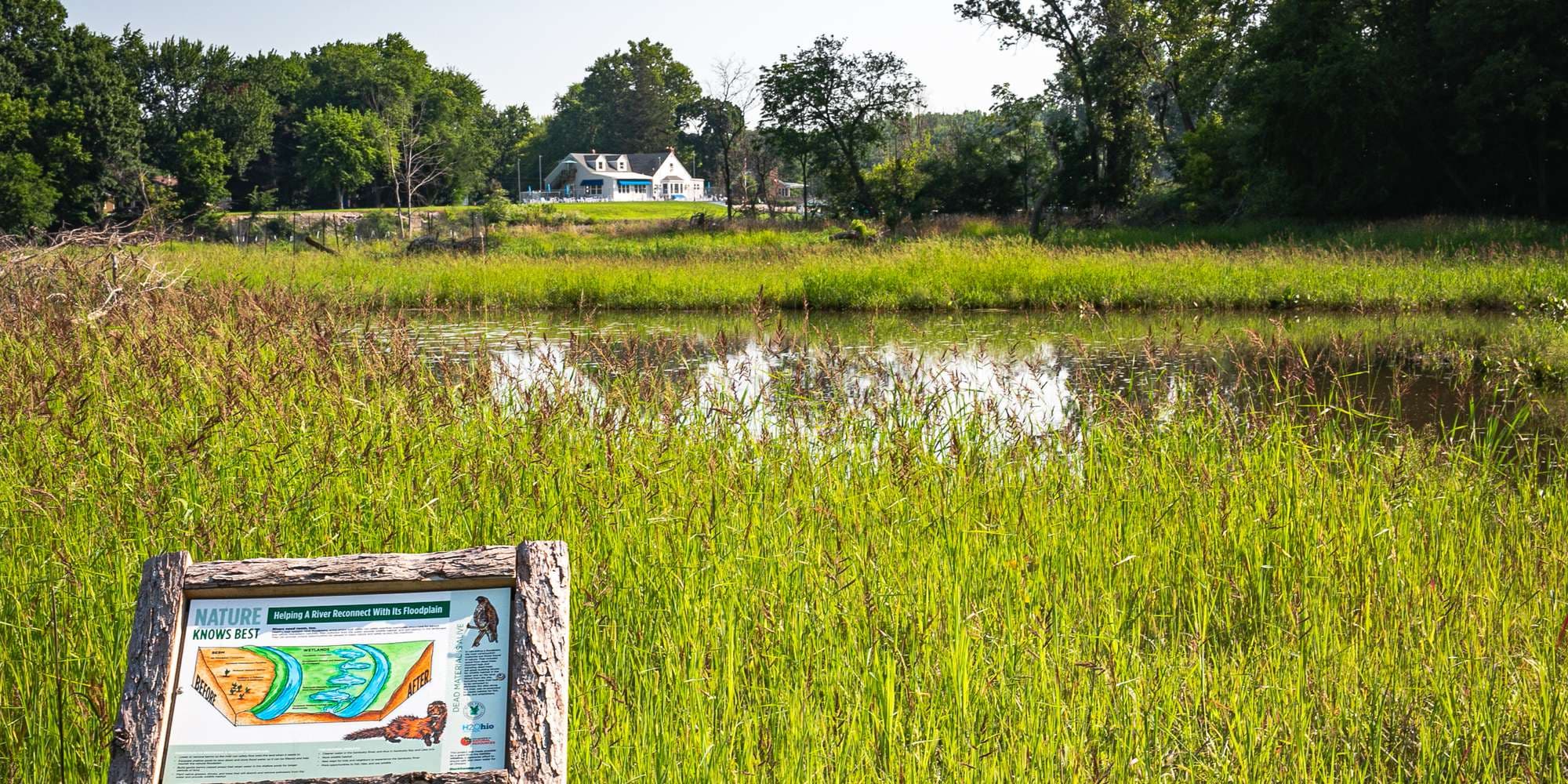 First image to compare