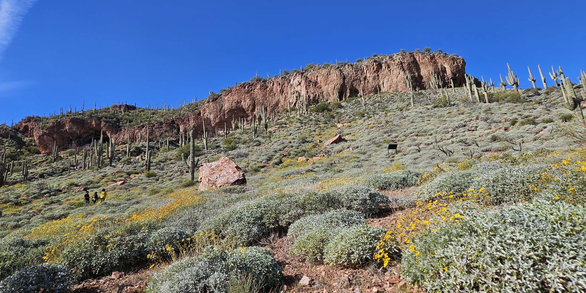 Second image to compare