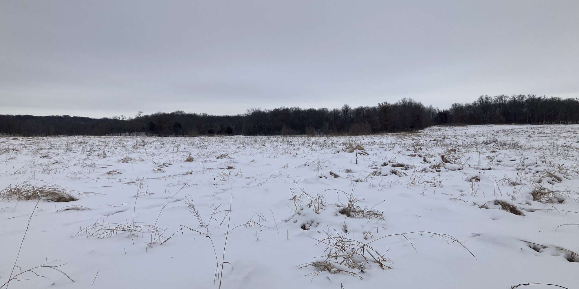 Second image to compare