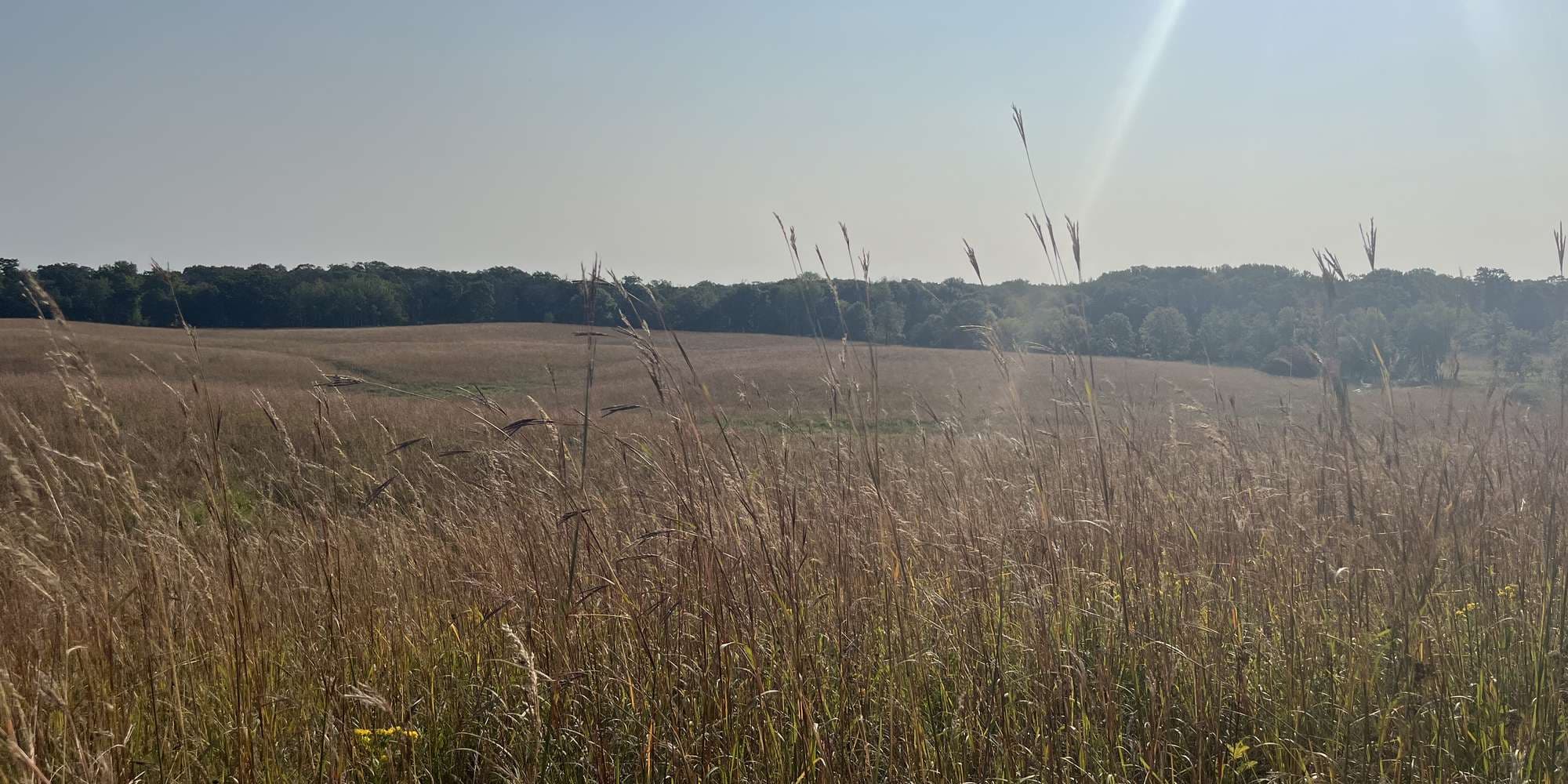 First image to compare