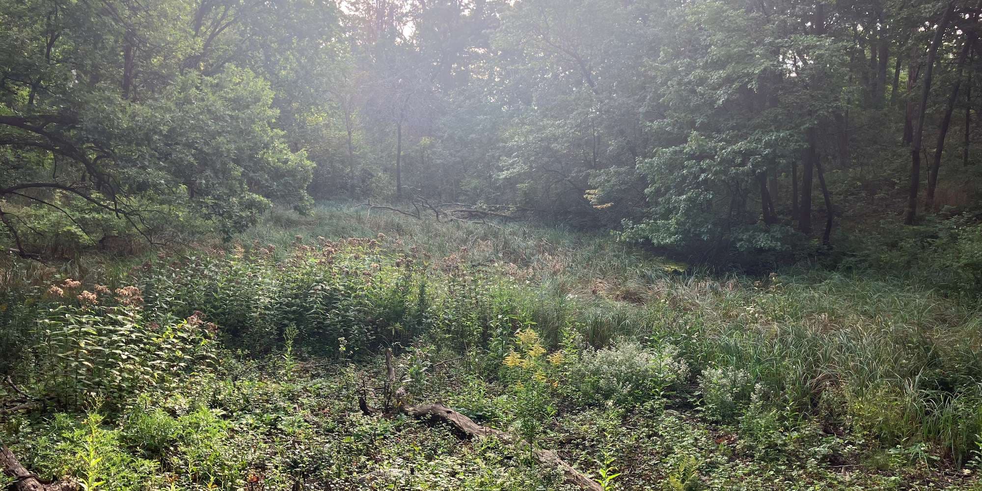 First image to compare