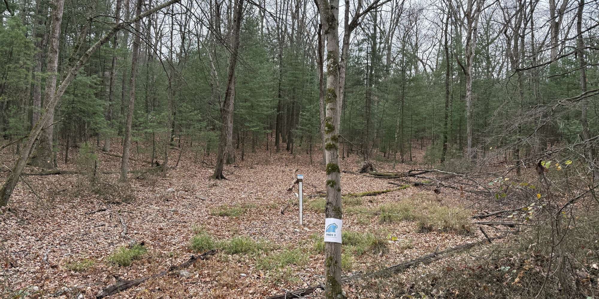 Second image to compare