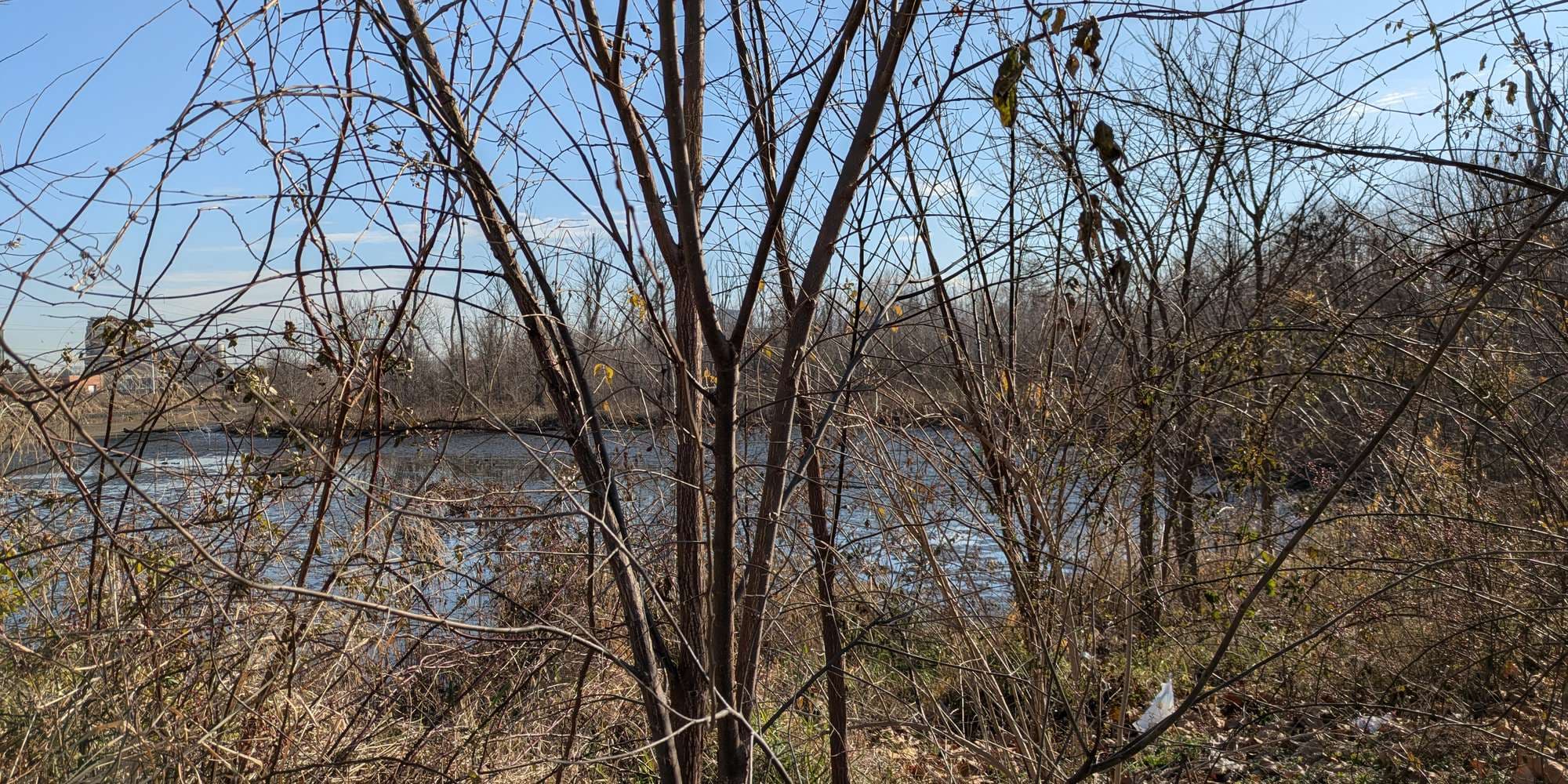 Second image to compare