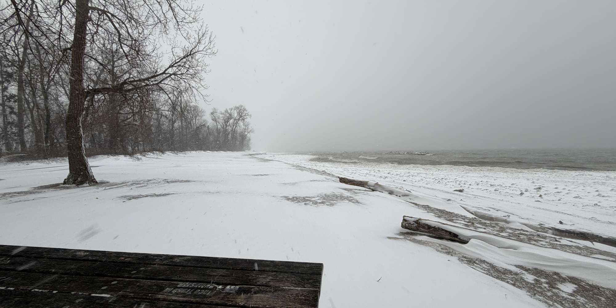 Second image to compare