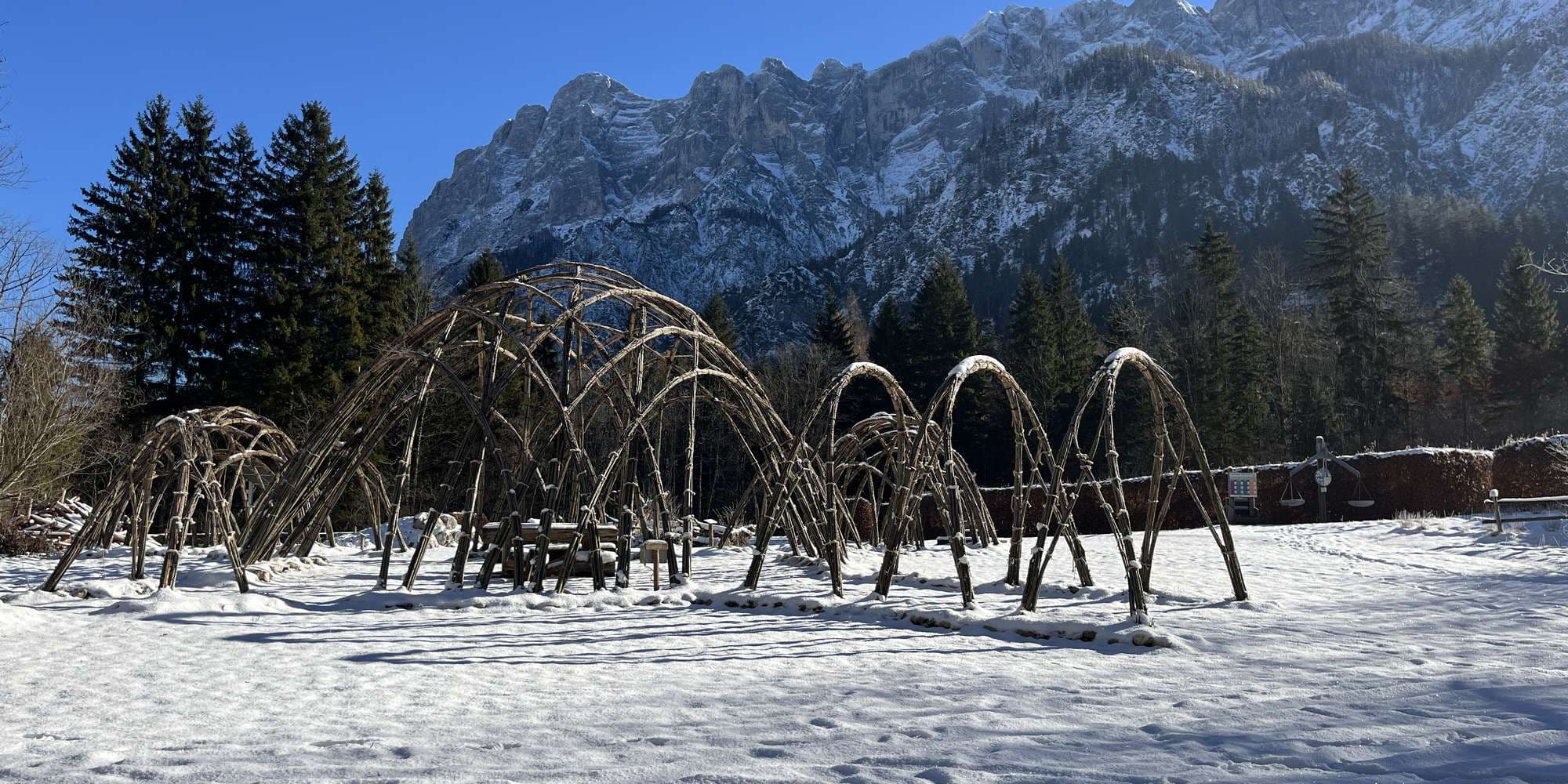 Second image to compare