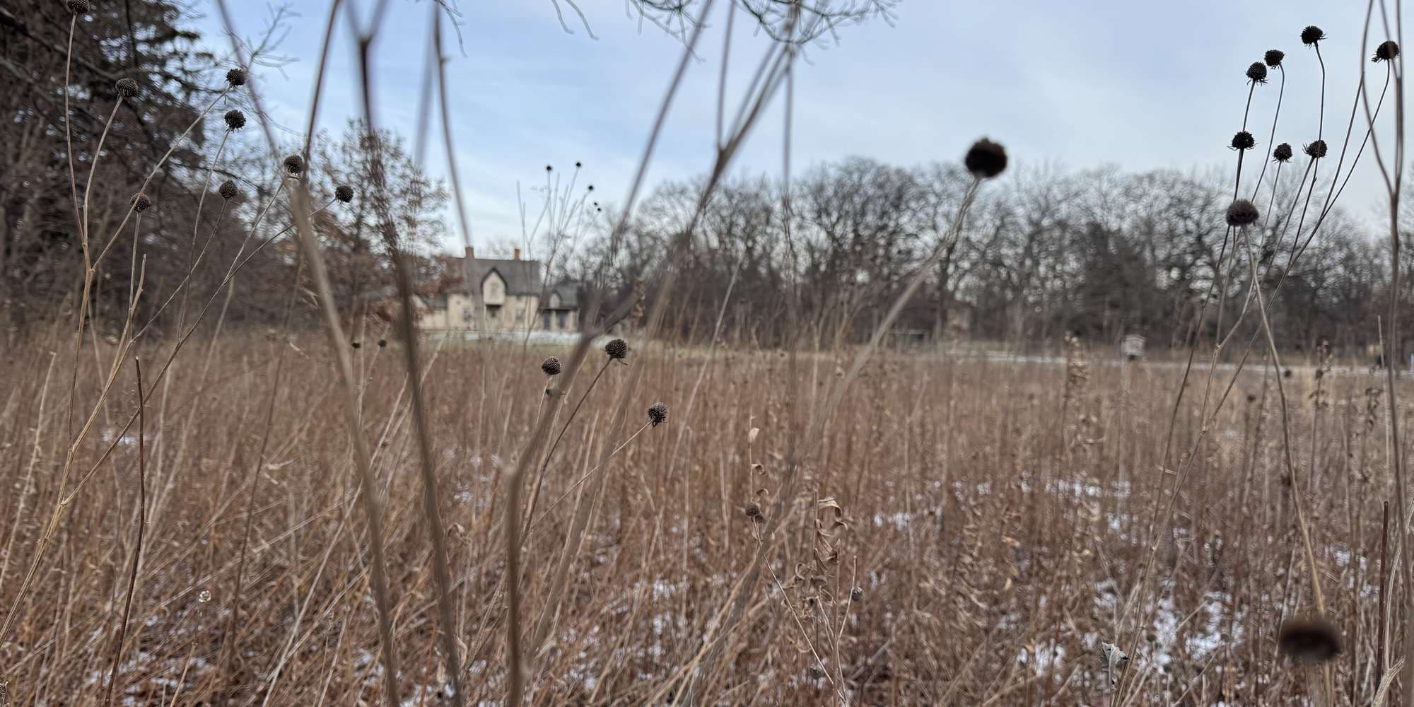 Second image to compare