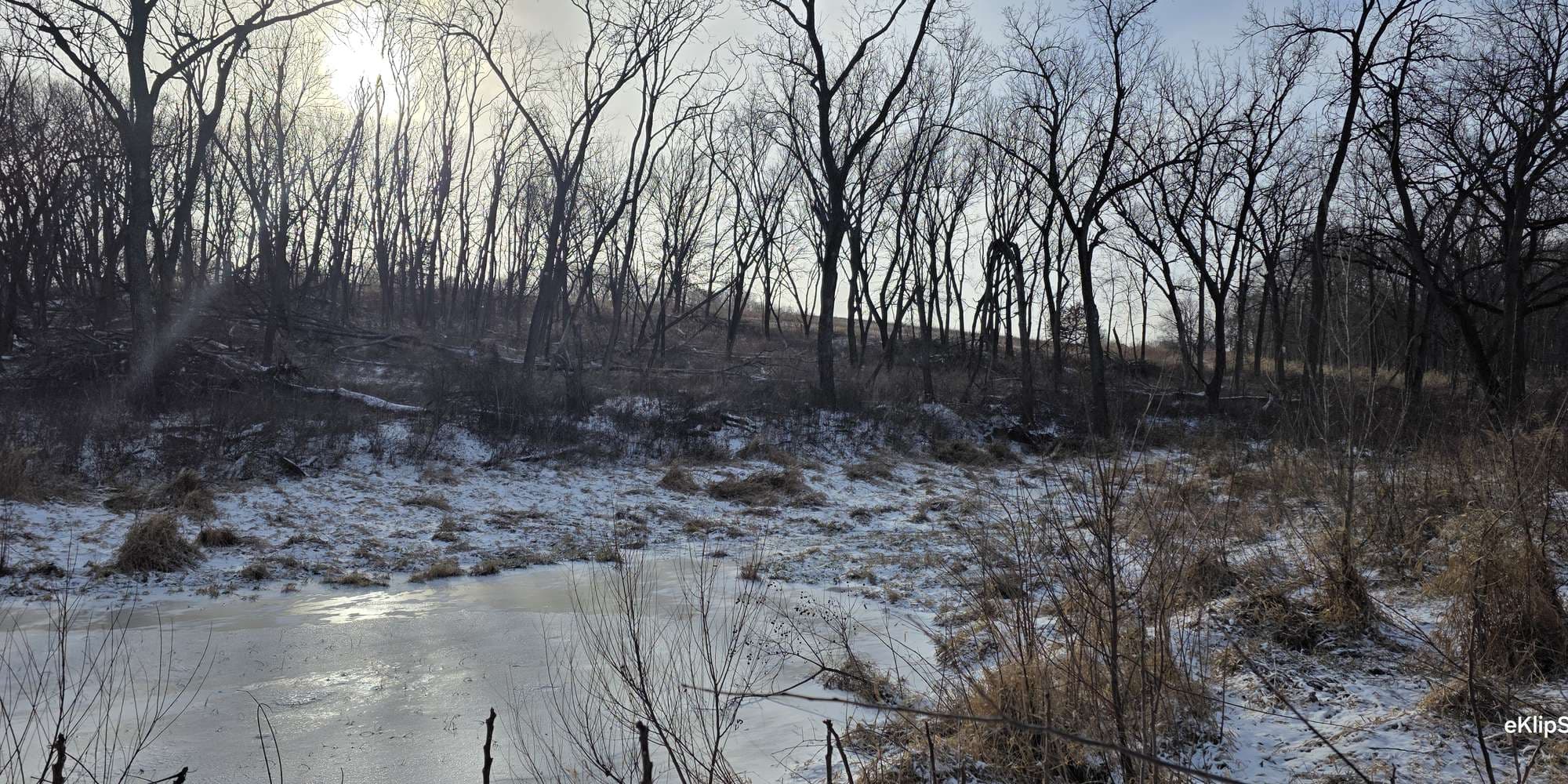 Second image to compare