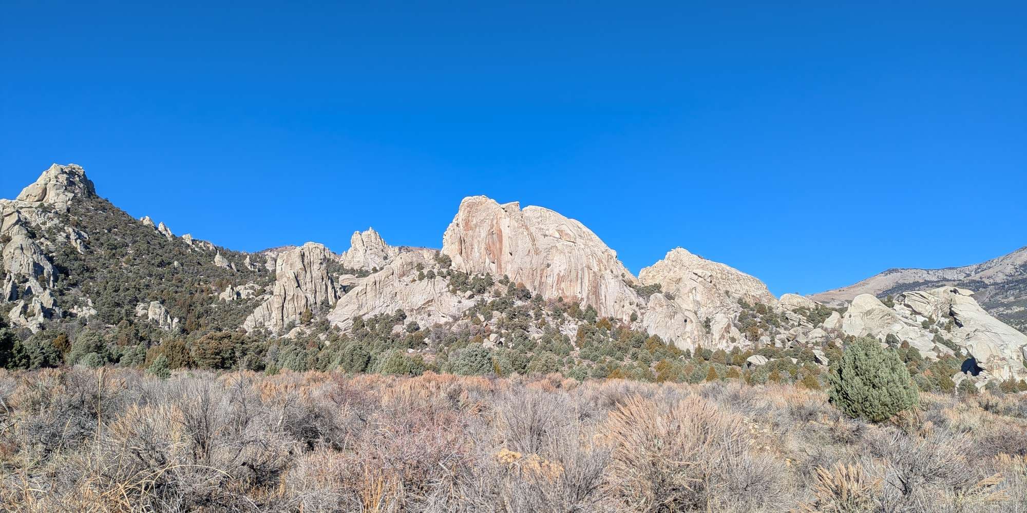 Second image to compare