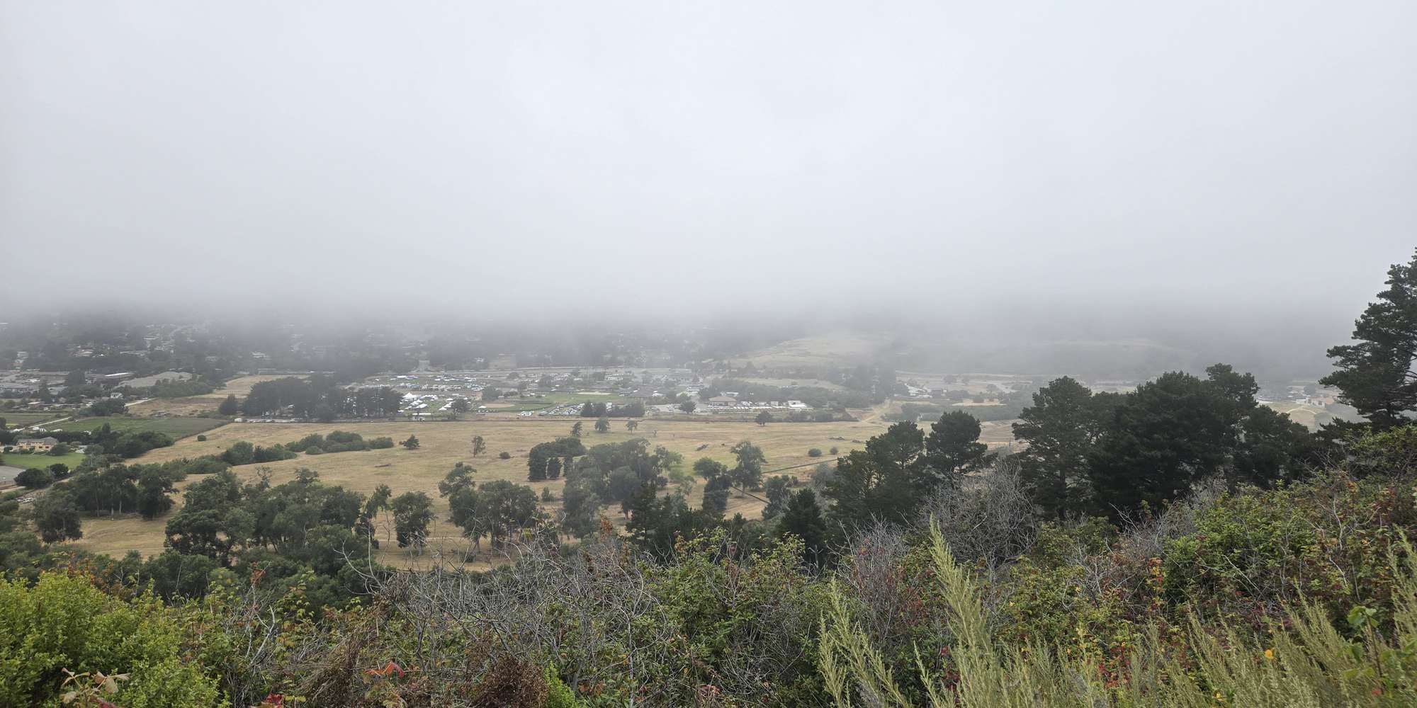 First image to compare