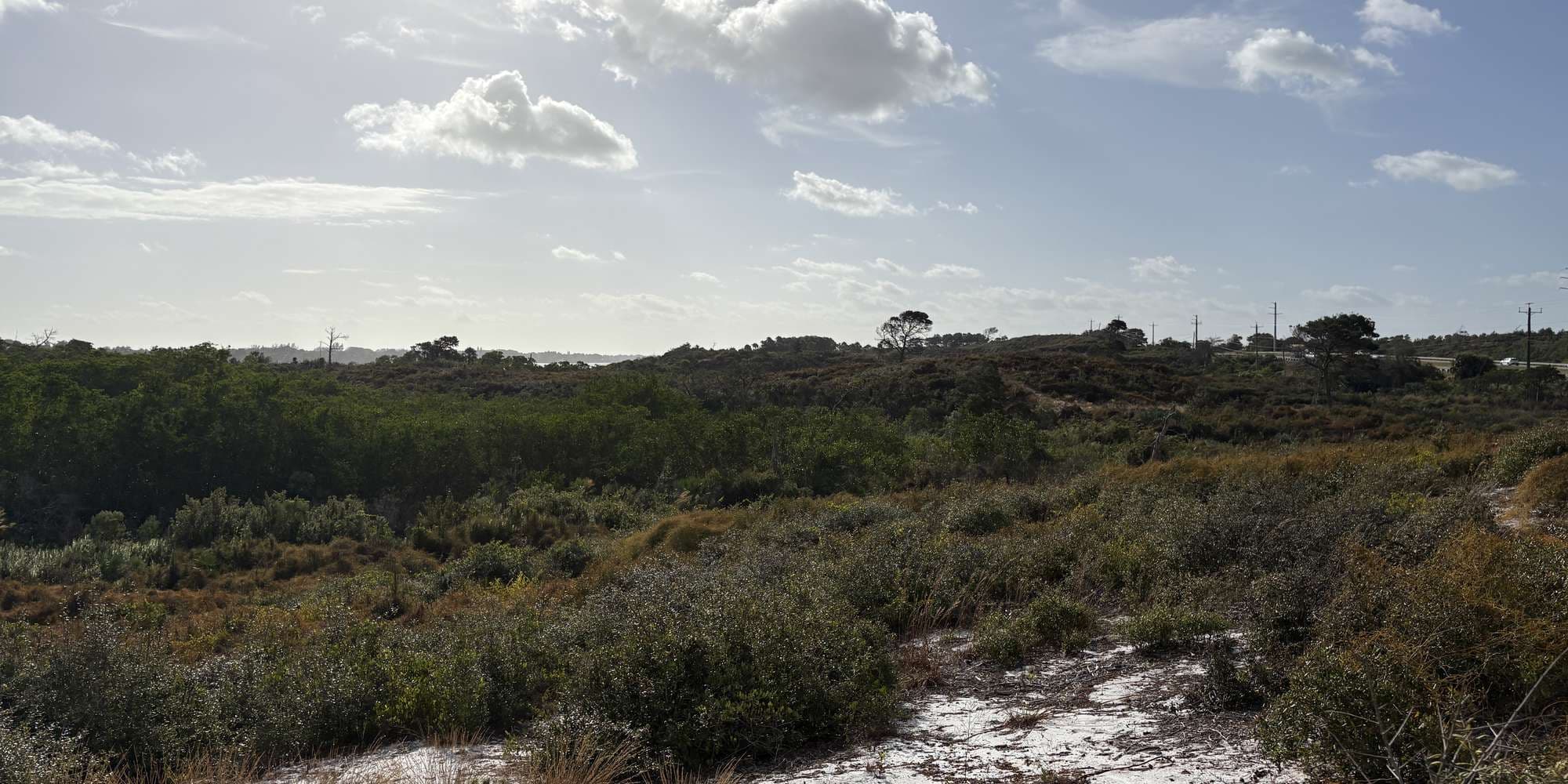 Second image to compare