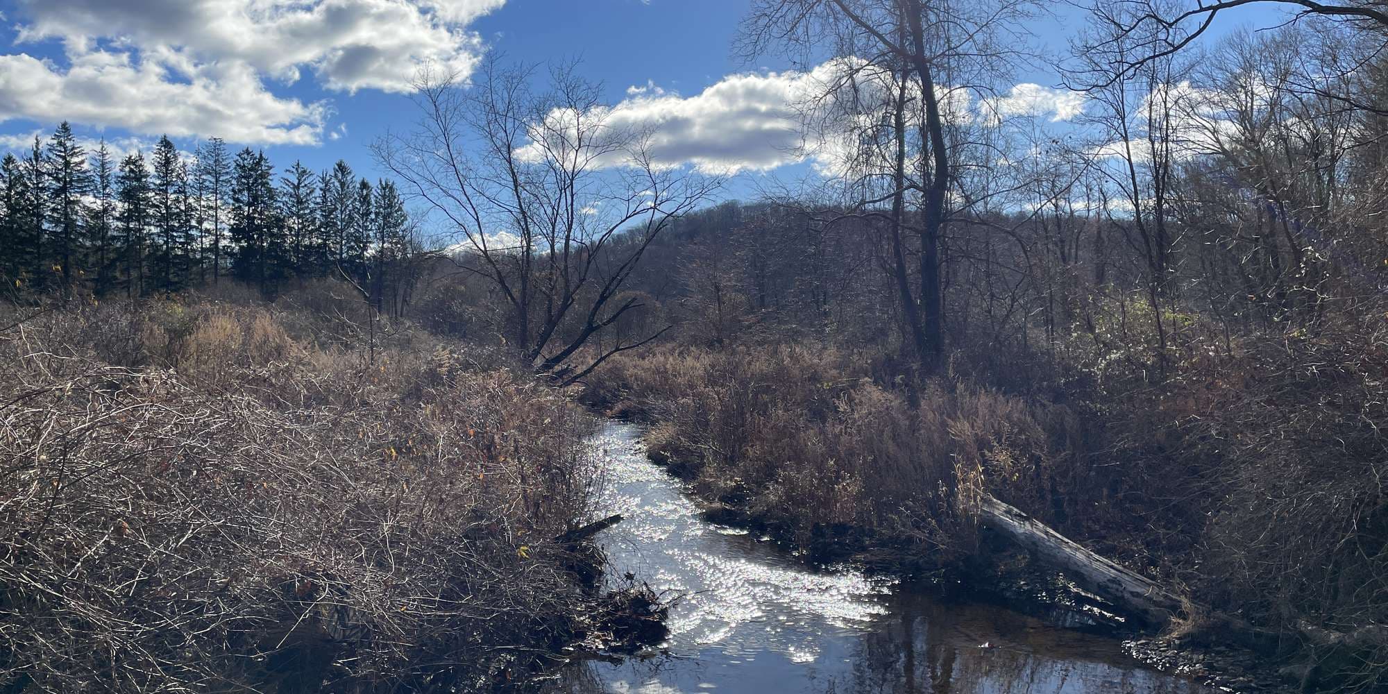 First image to compare