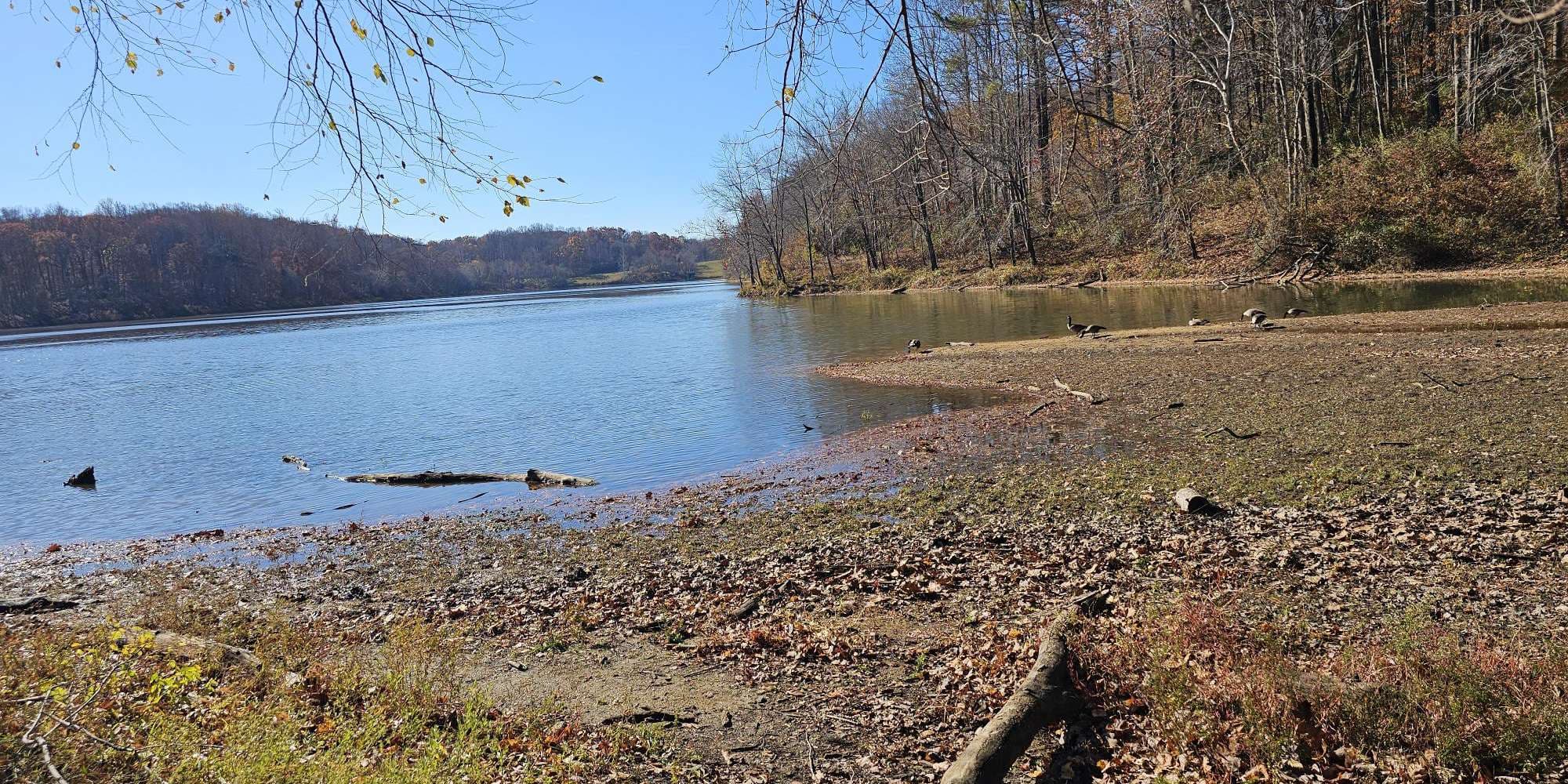 Second image to compare