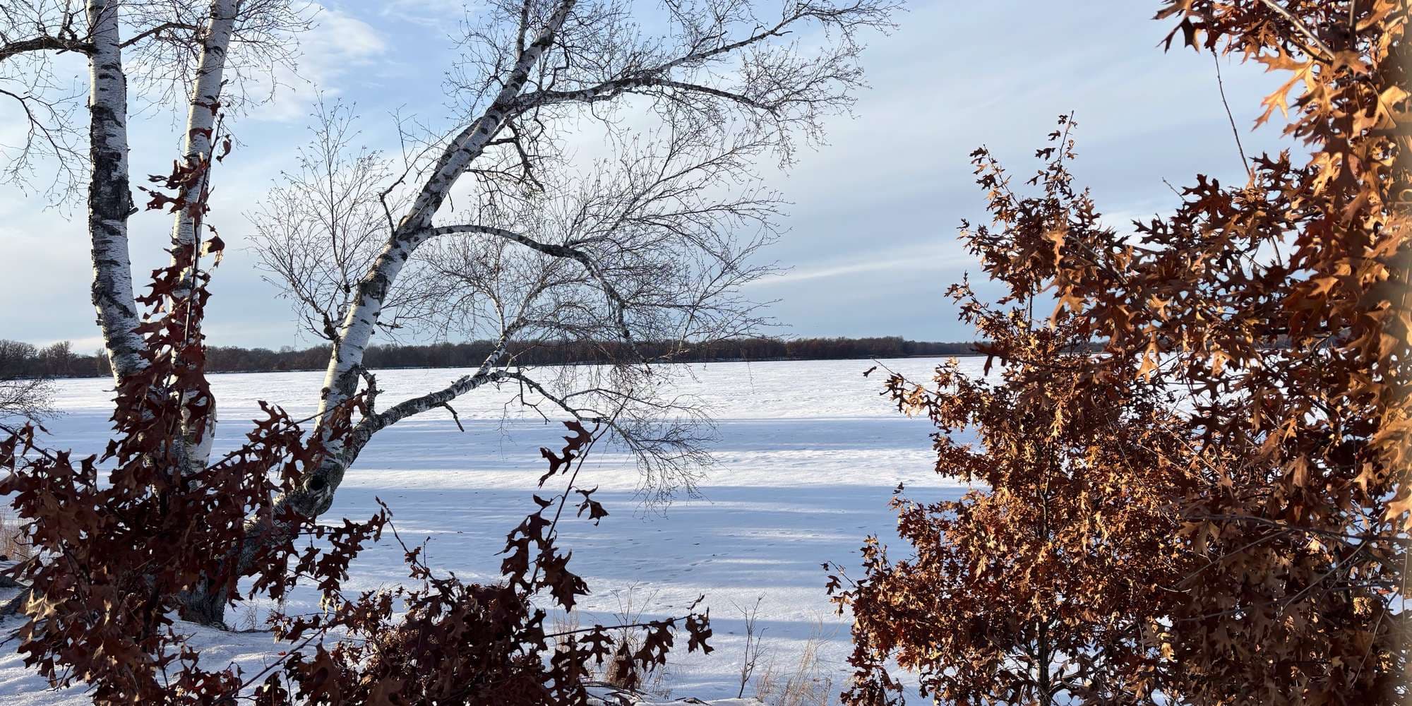 Second image to compare