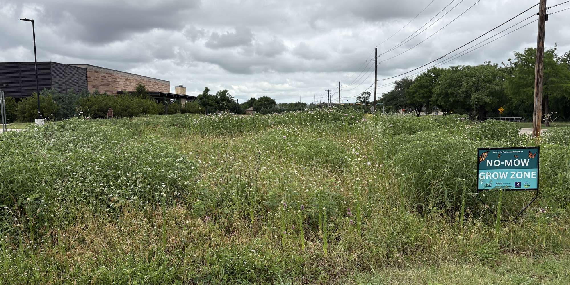 First image to compare