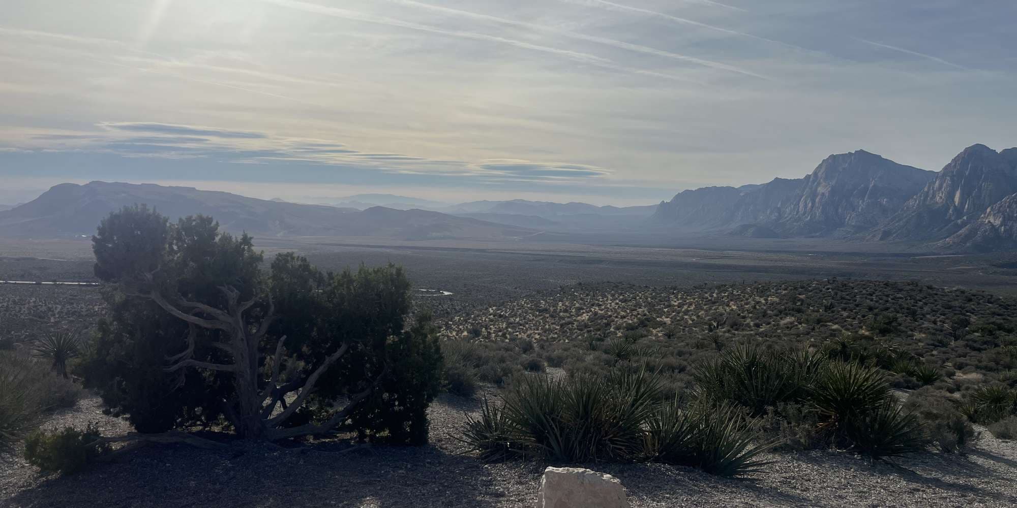 Second image to compare