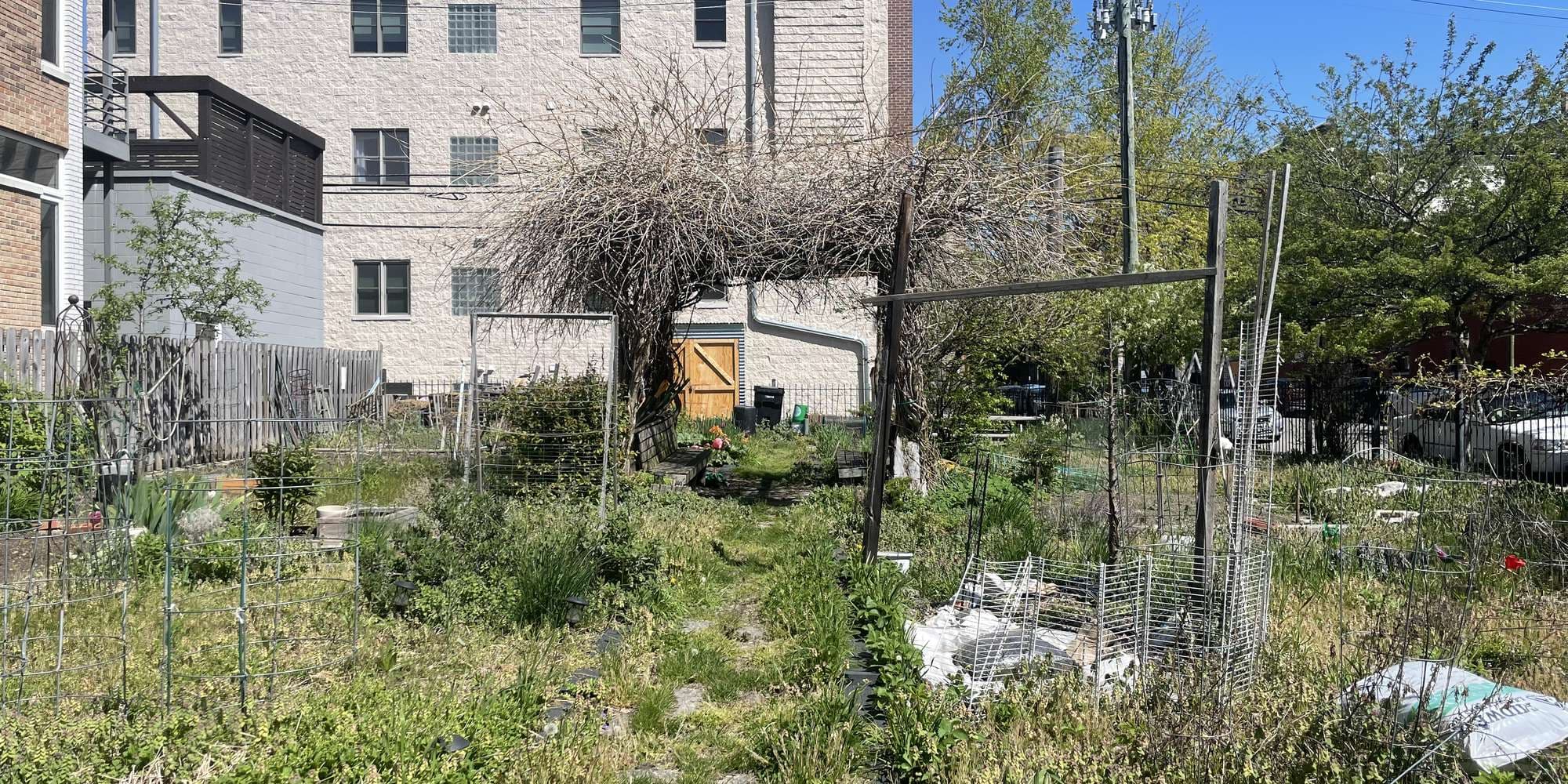 Second image to compare