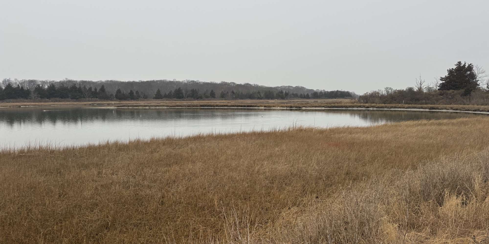 Second image to compare