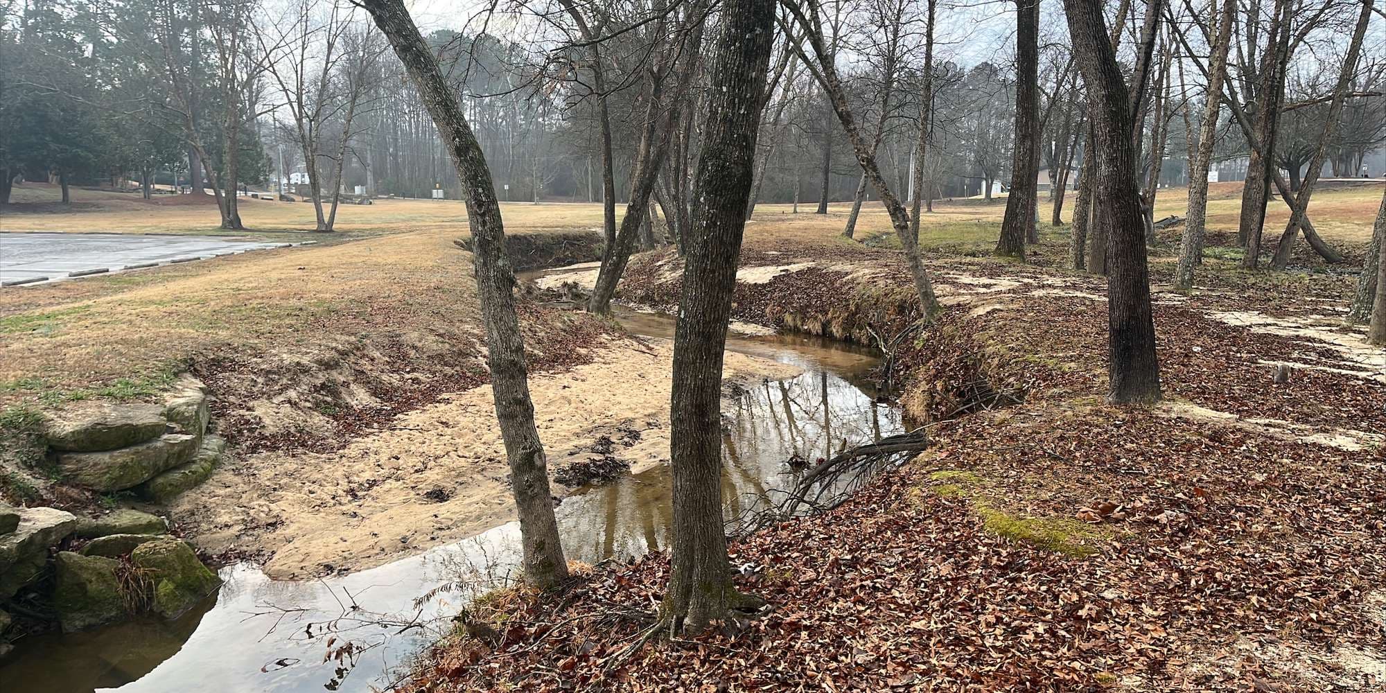 Second image to compare