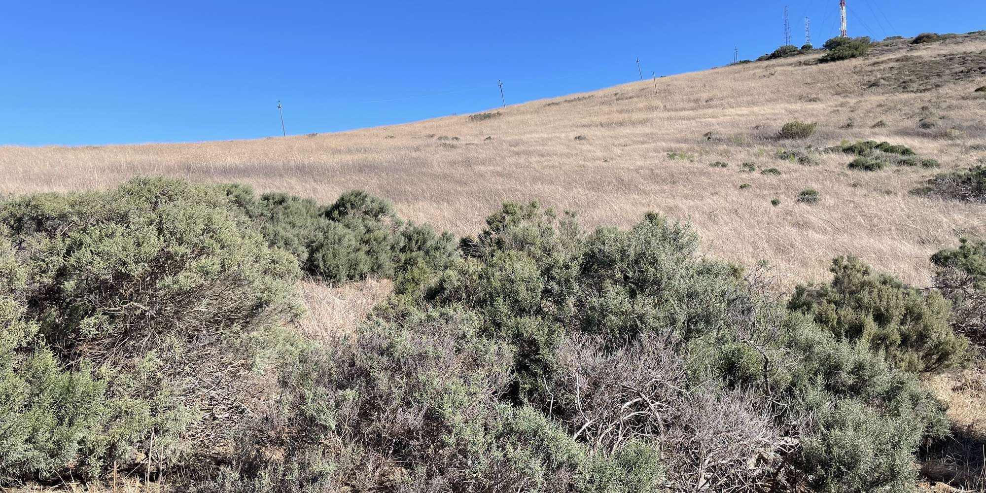 First image to compare