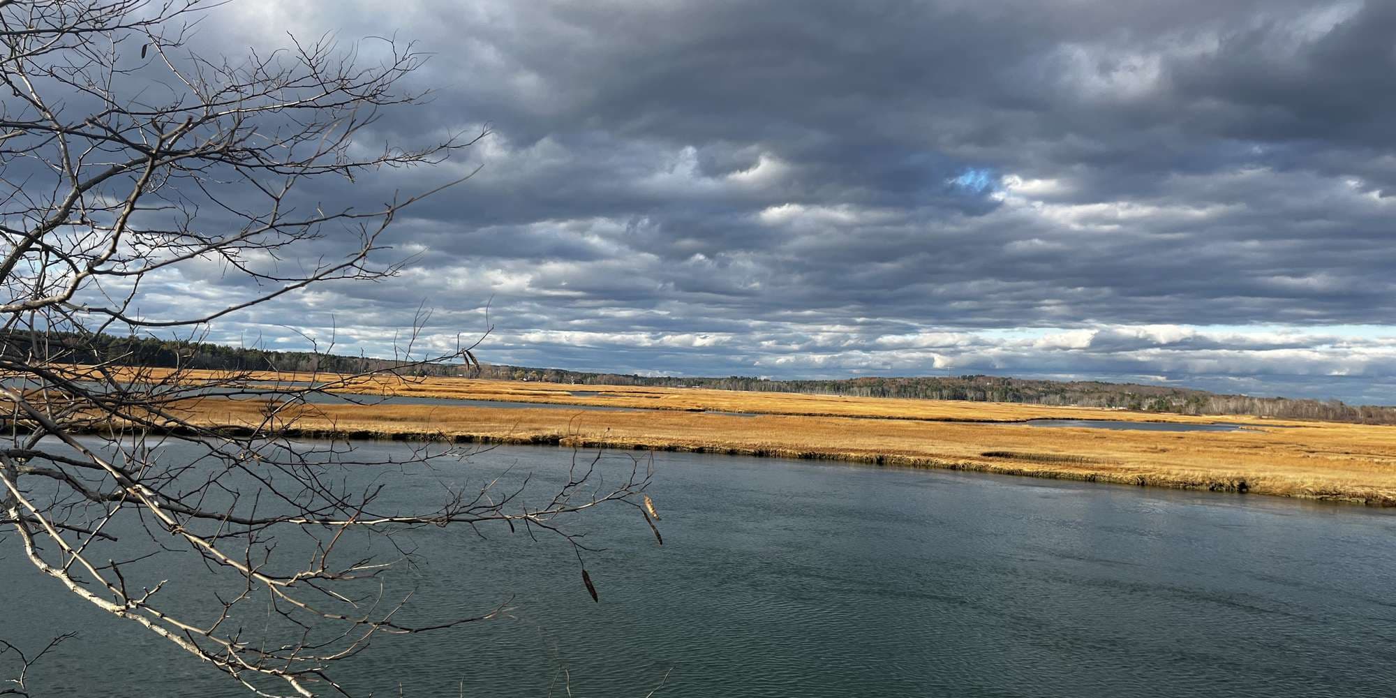 Second image to compare