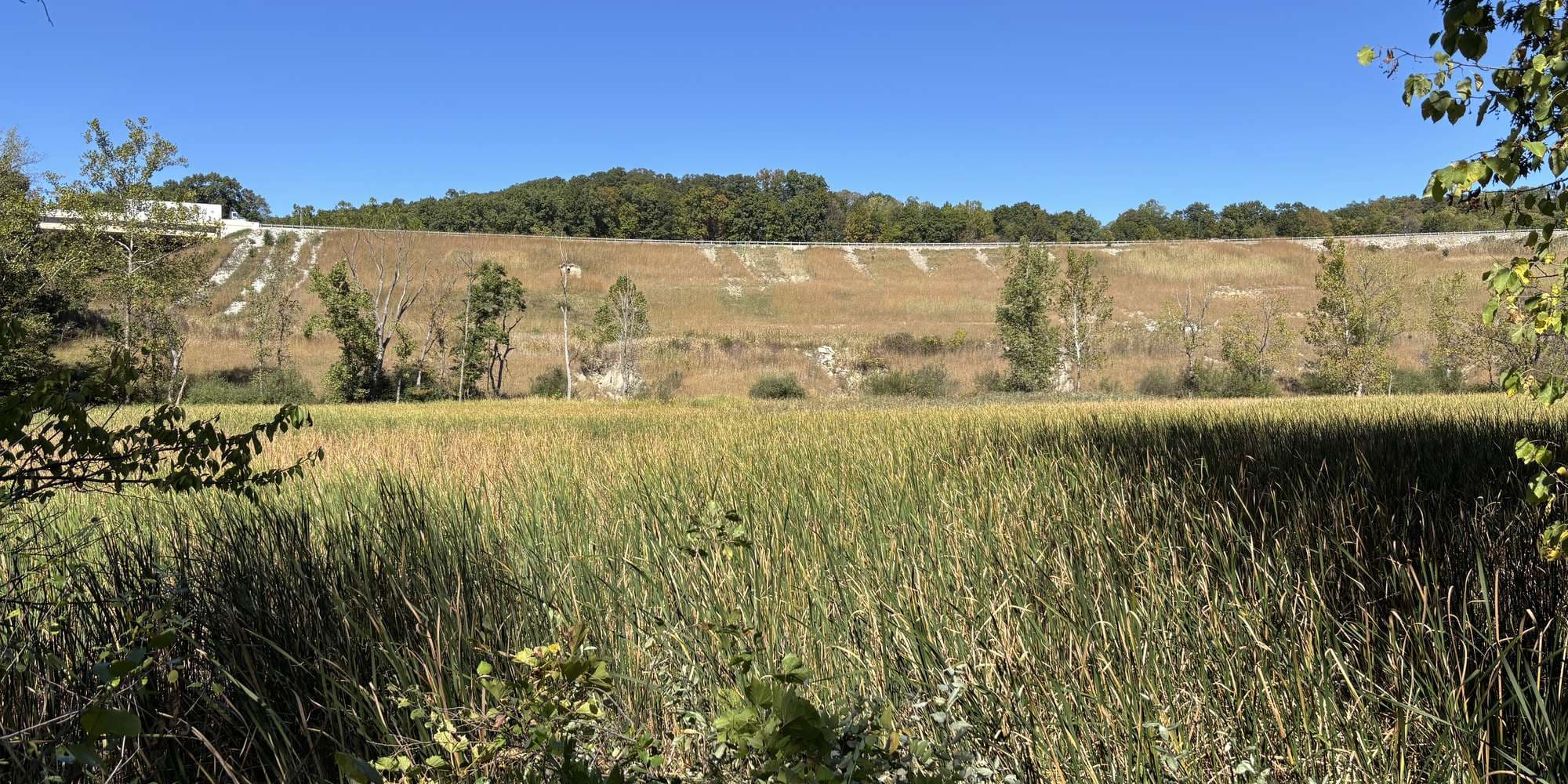 Second image to compare