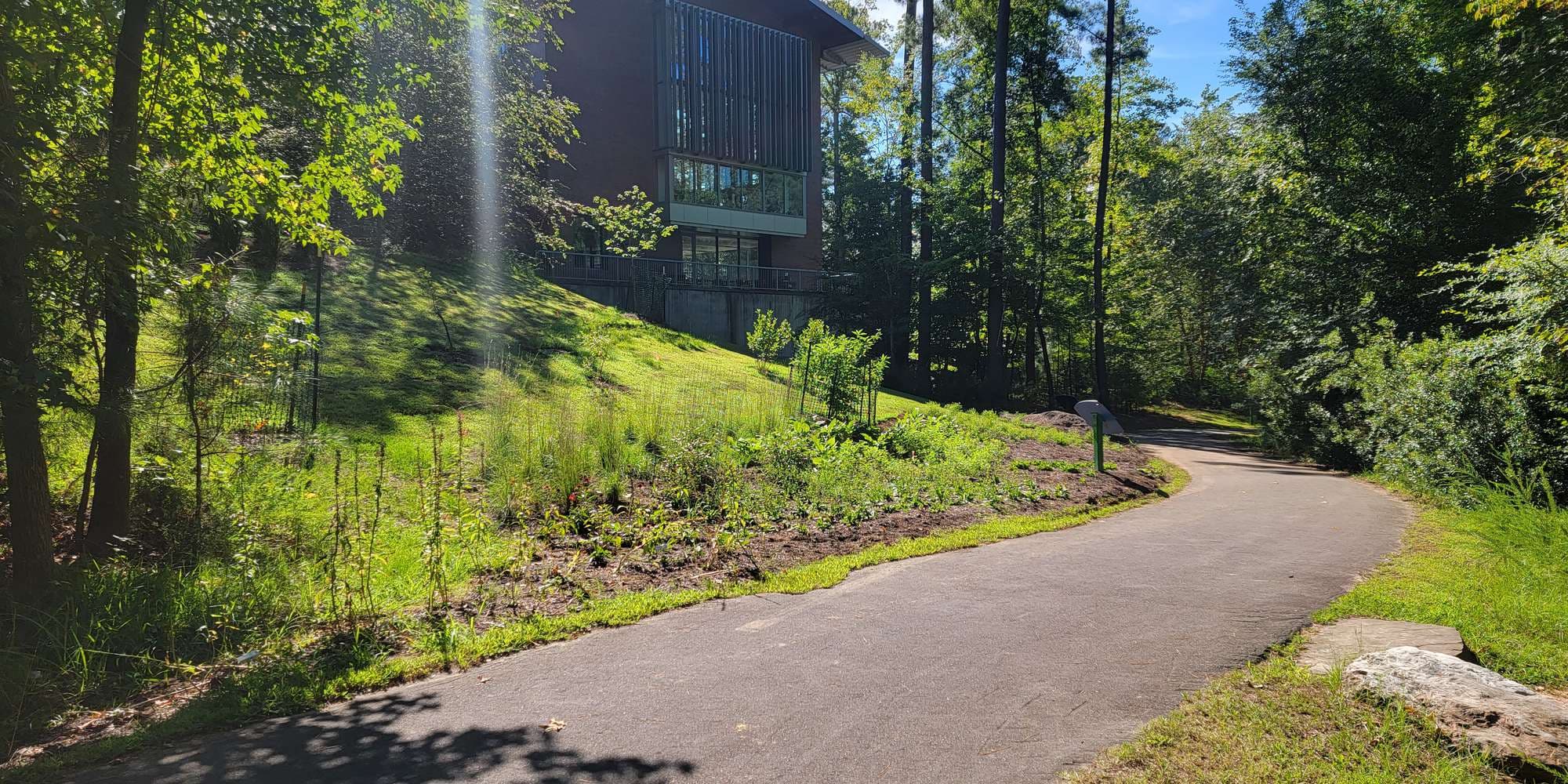 First image to compare