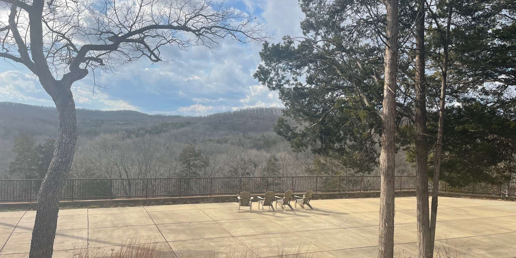 Second image to compare