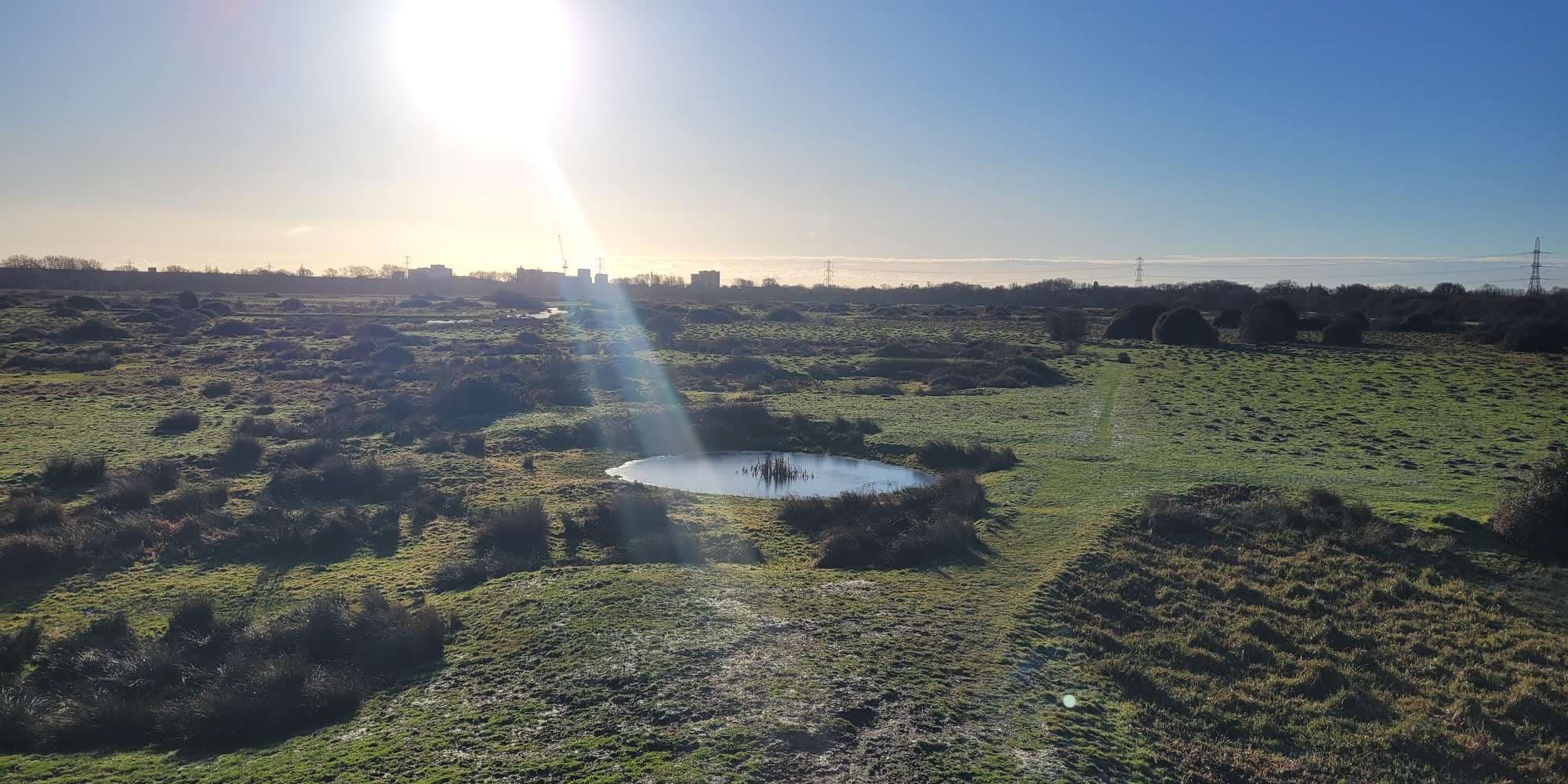 Second image to compare