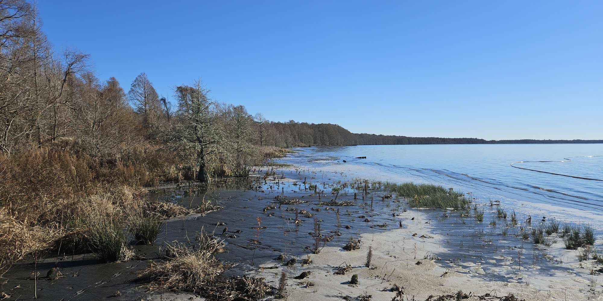 Second image to compare