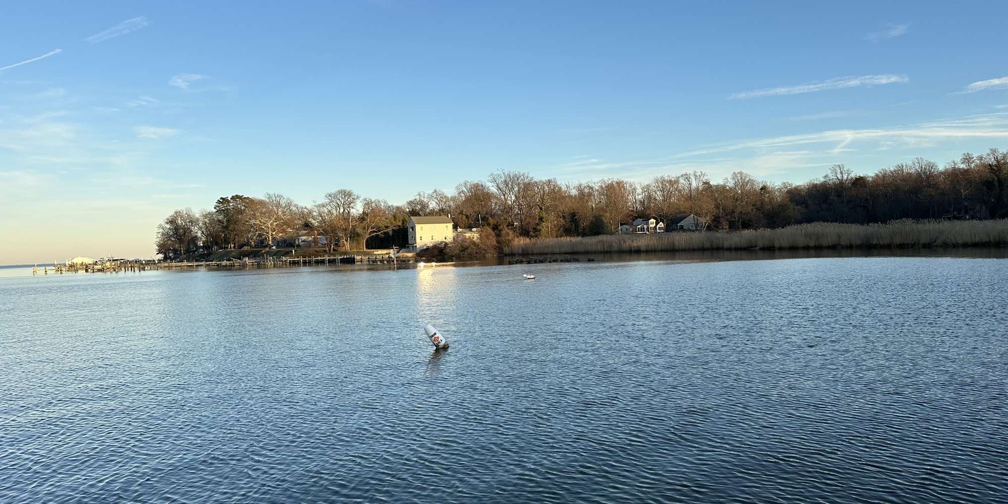 Second image to compare