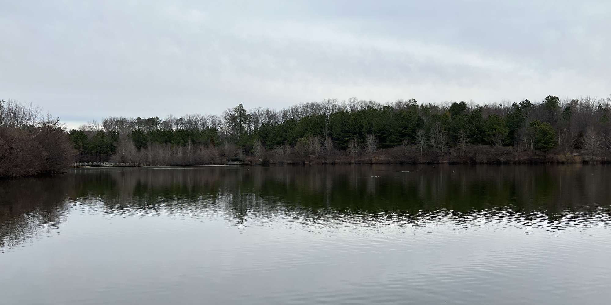 Second image to compare