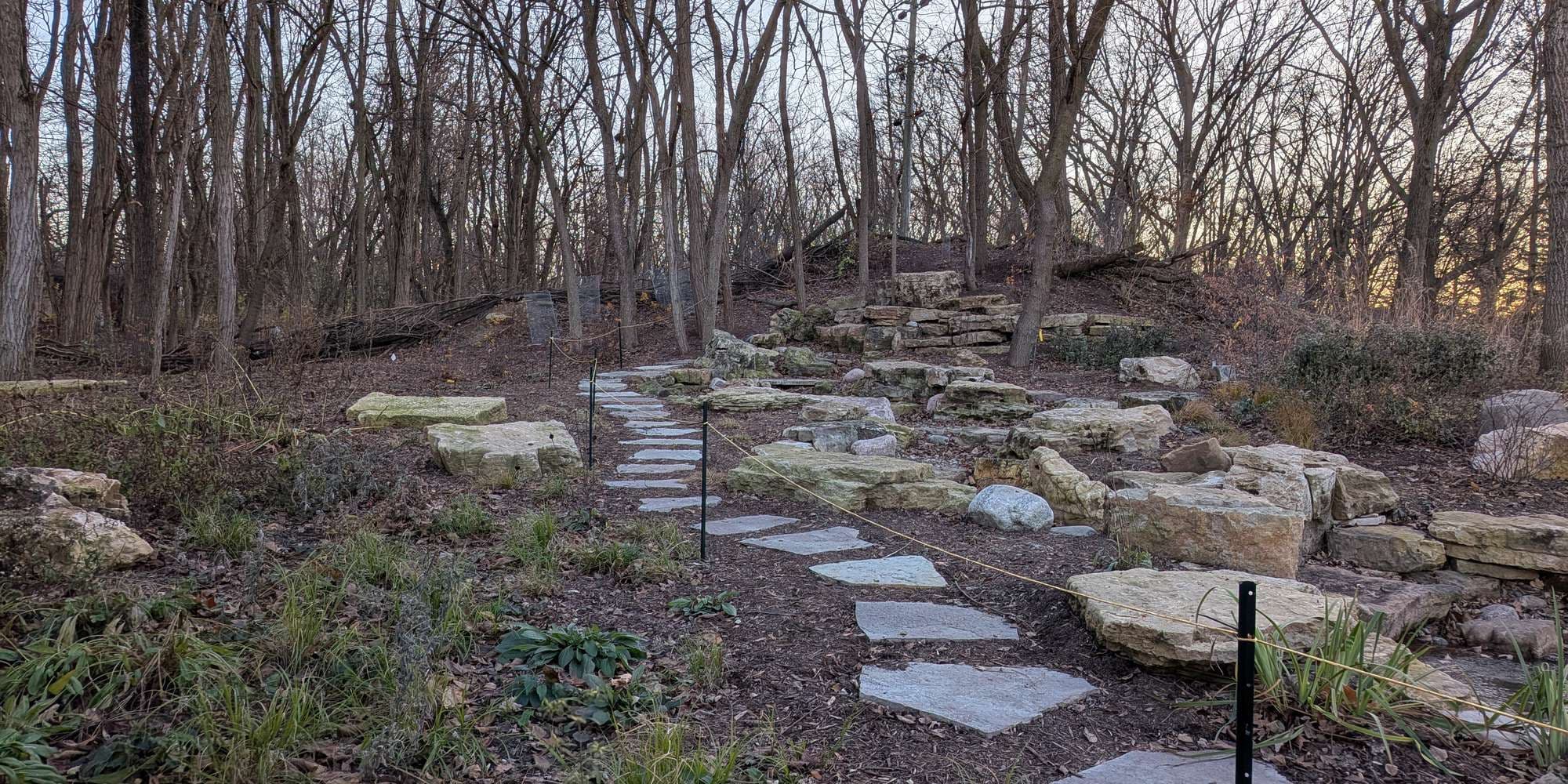 Second image to compare