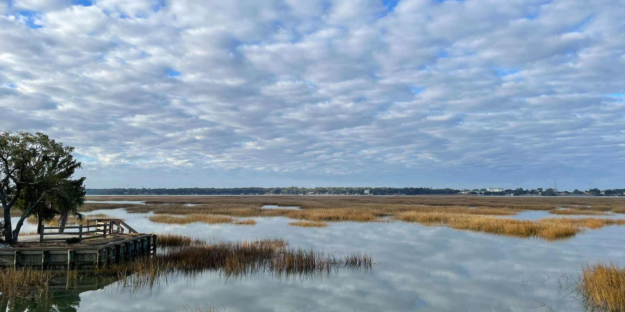 Second image to compare