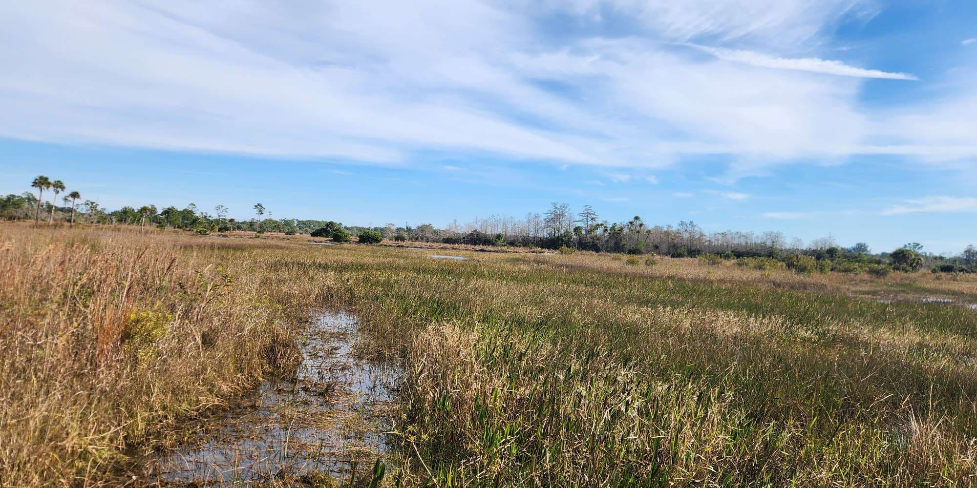 Second image to compare