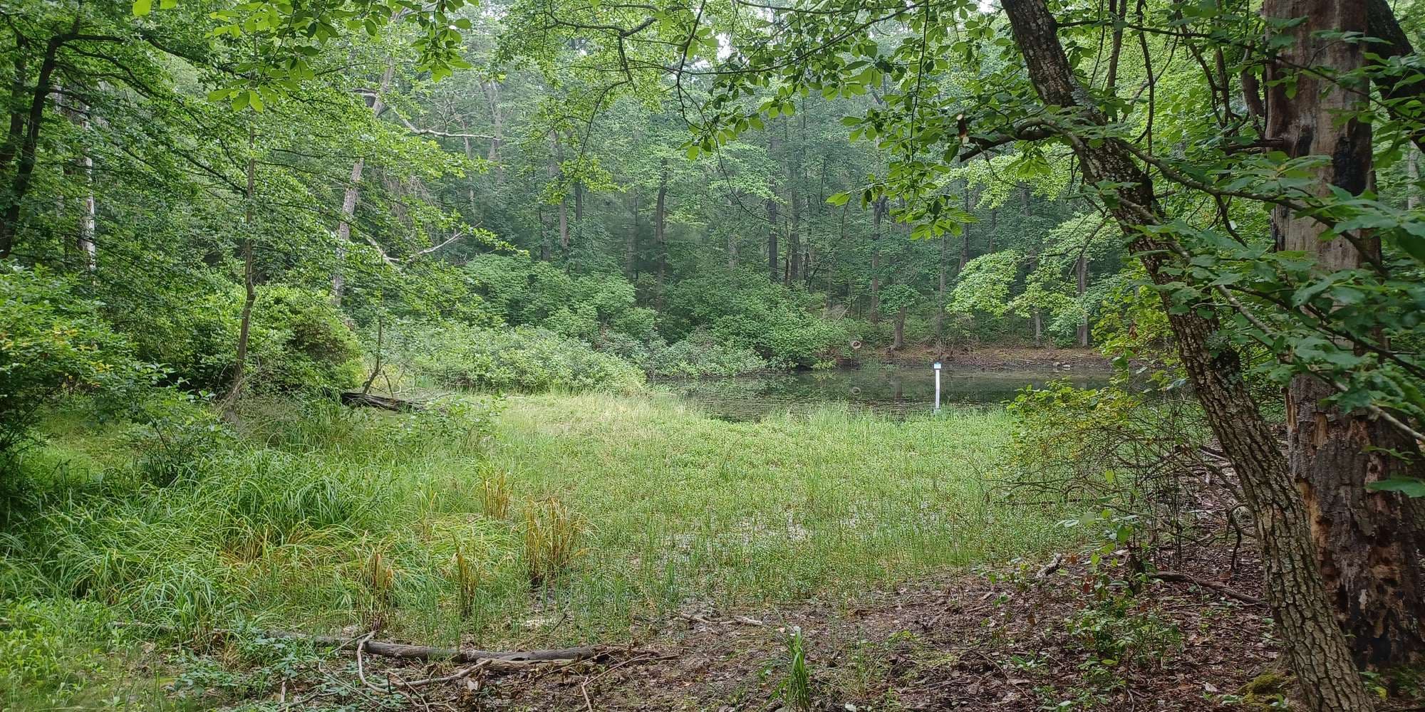 First image to compare