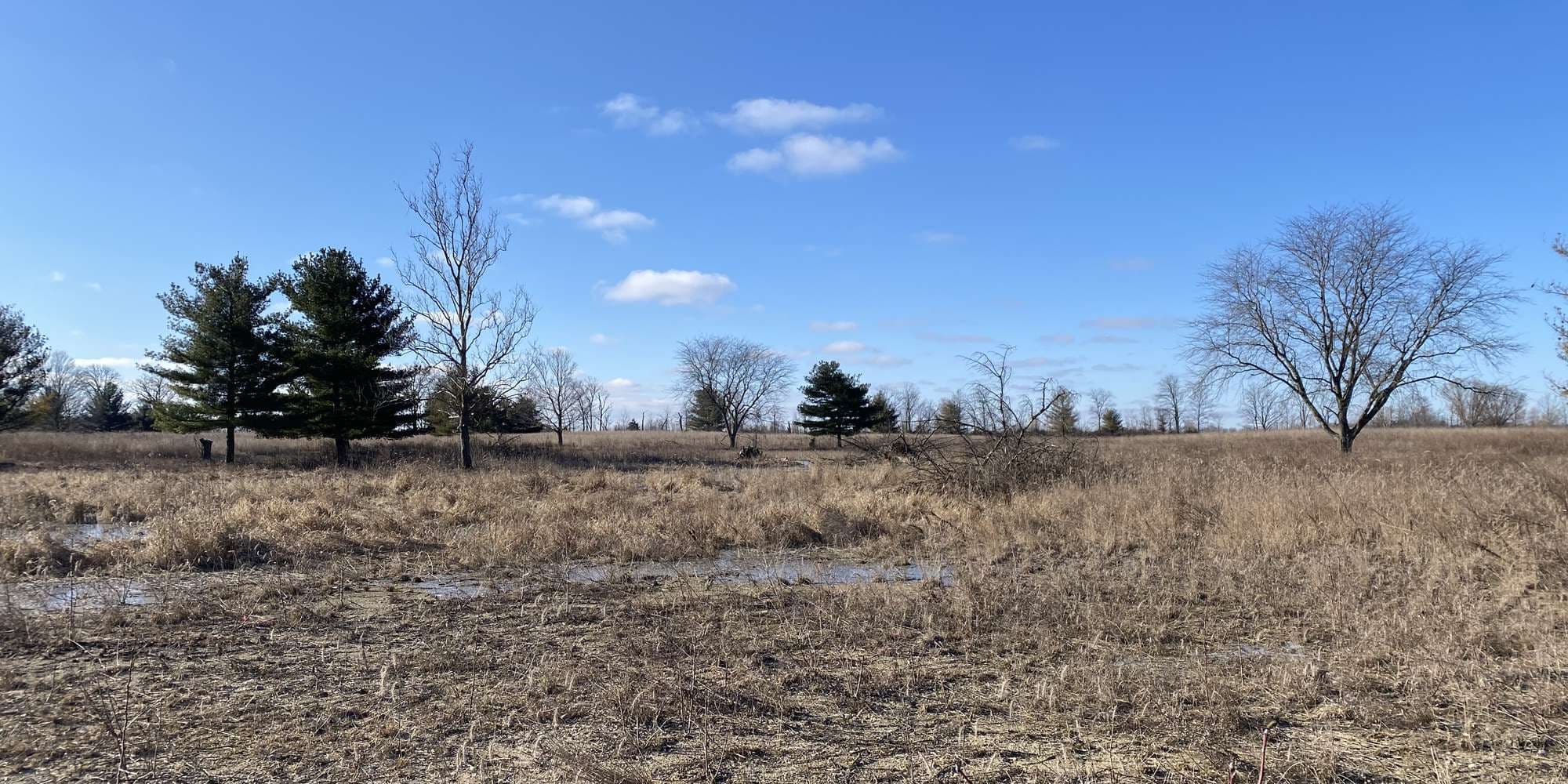 Second image to compare