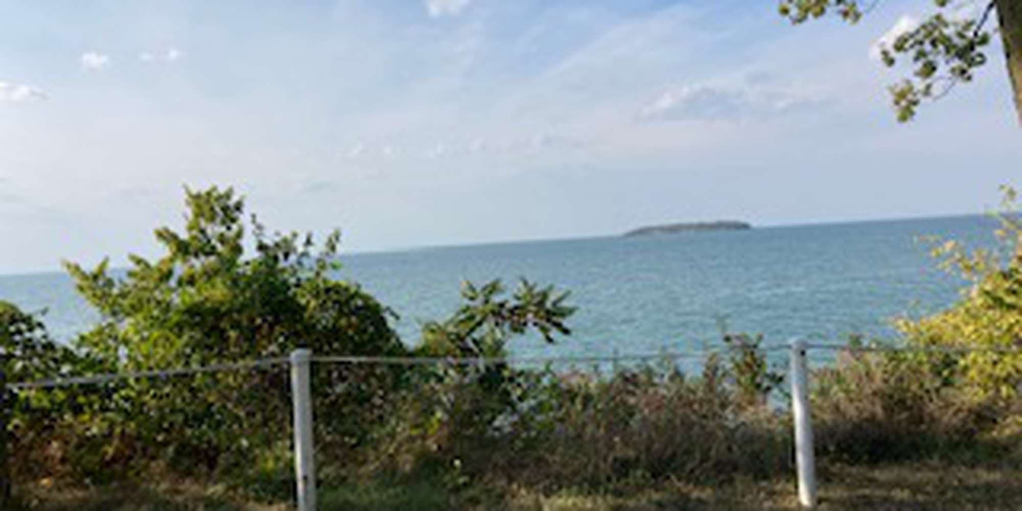 Second image to compare