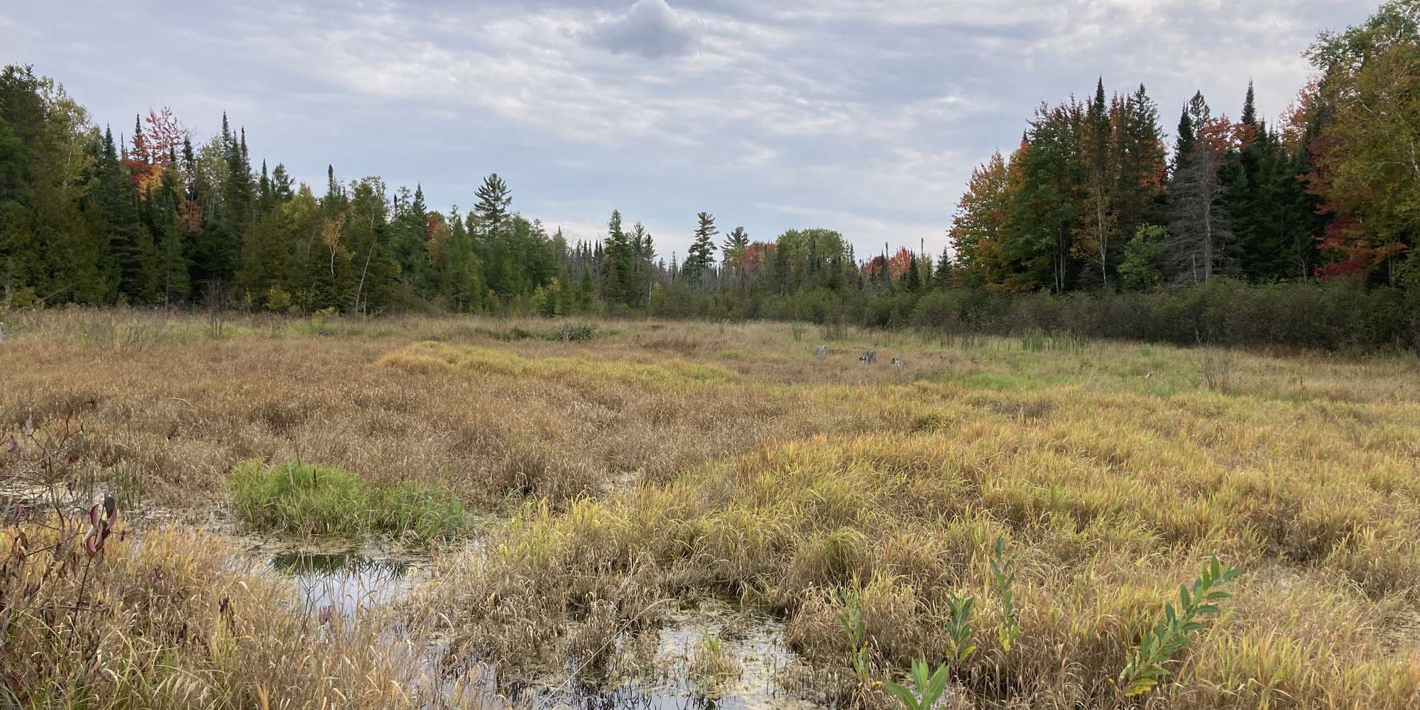 First image to compare