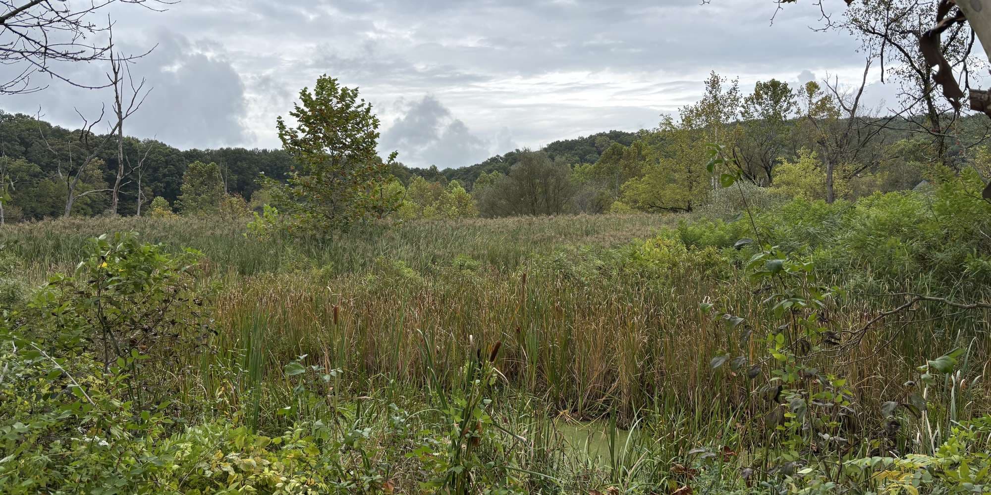 First image to compare